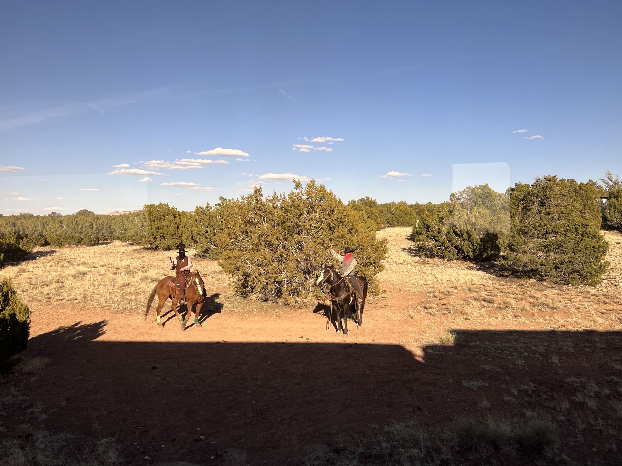 Cowboys