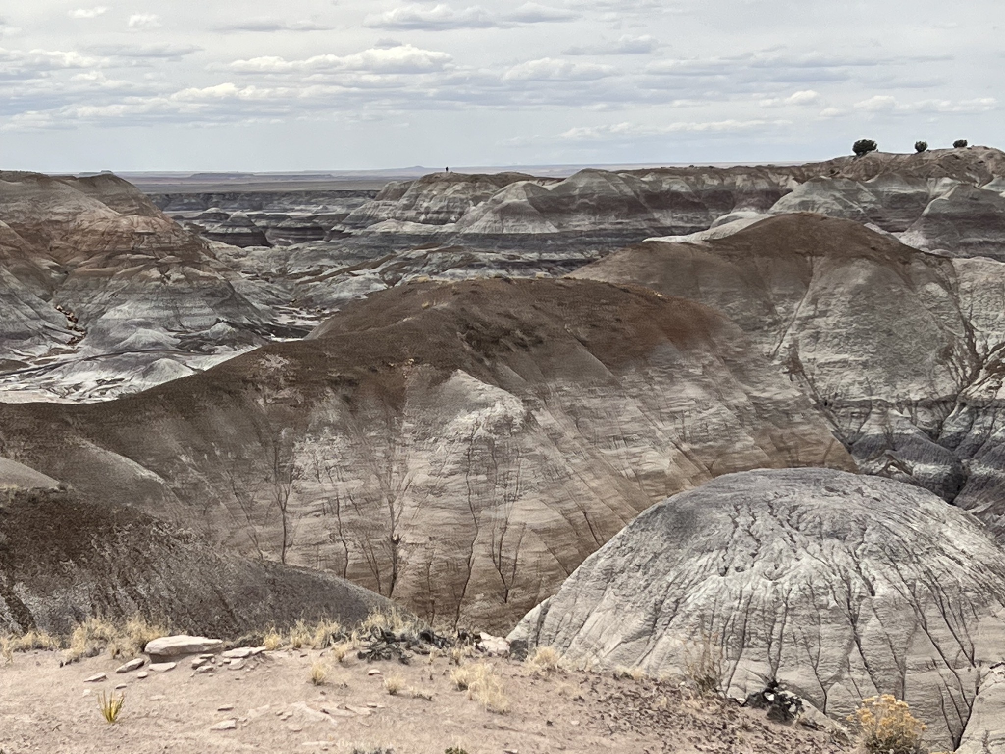 Painted hills
