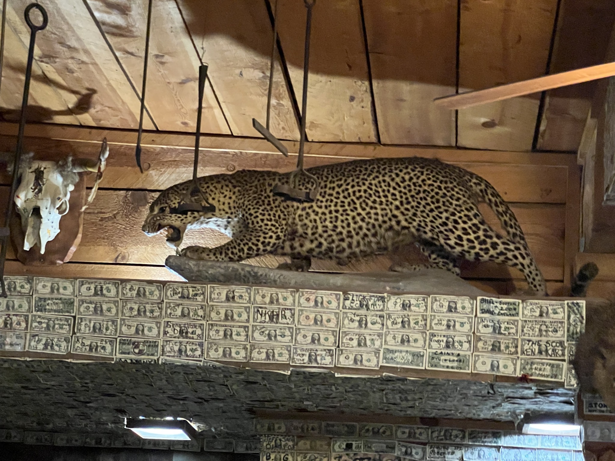 Roadkill Cafe