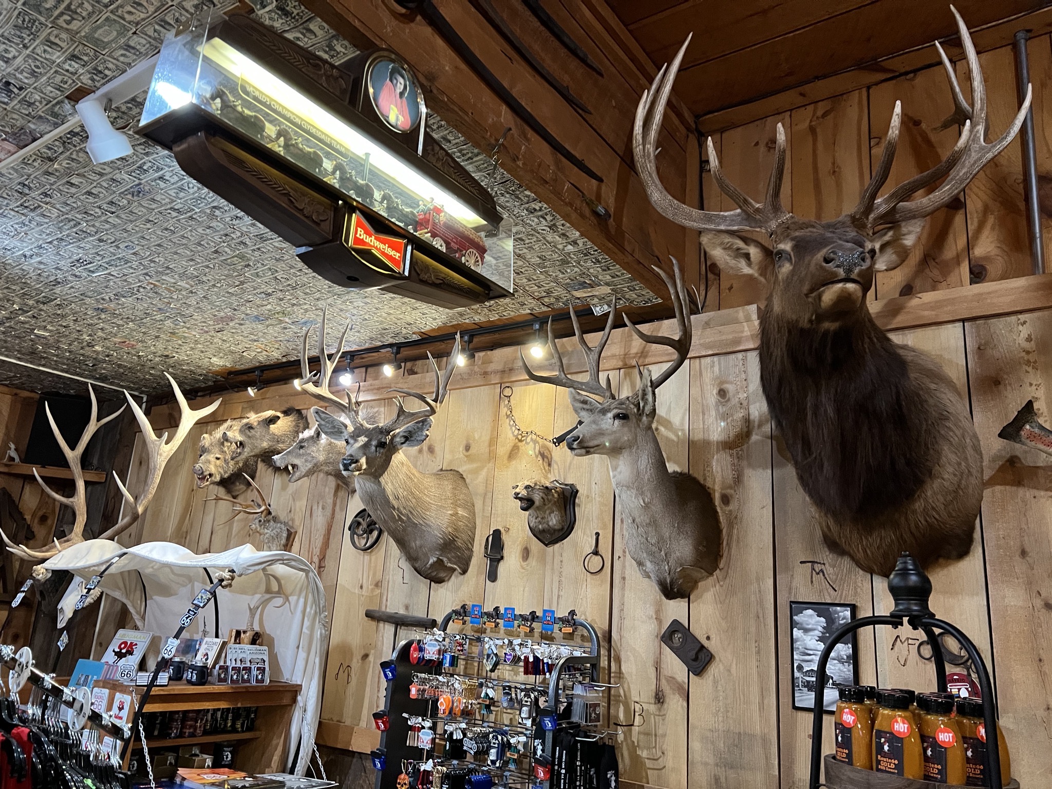 Roadkill Cafe