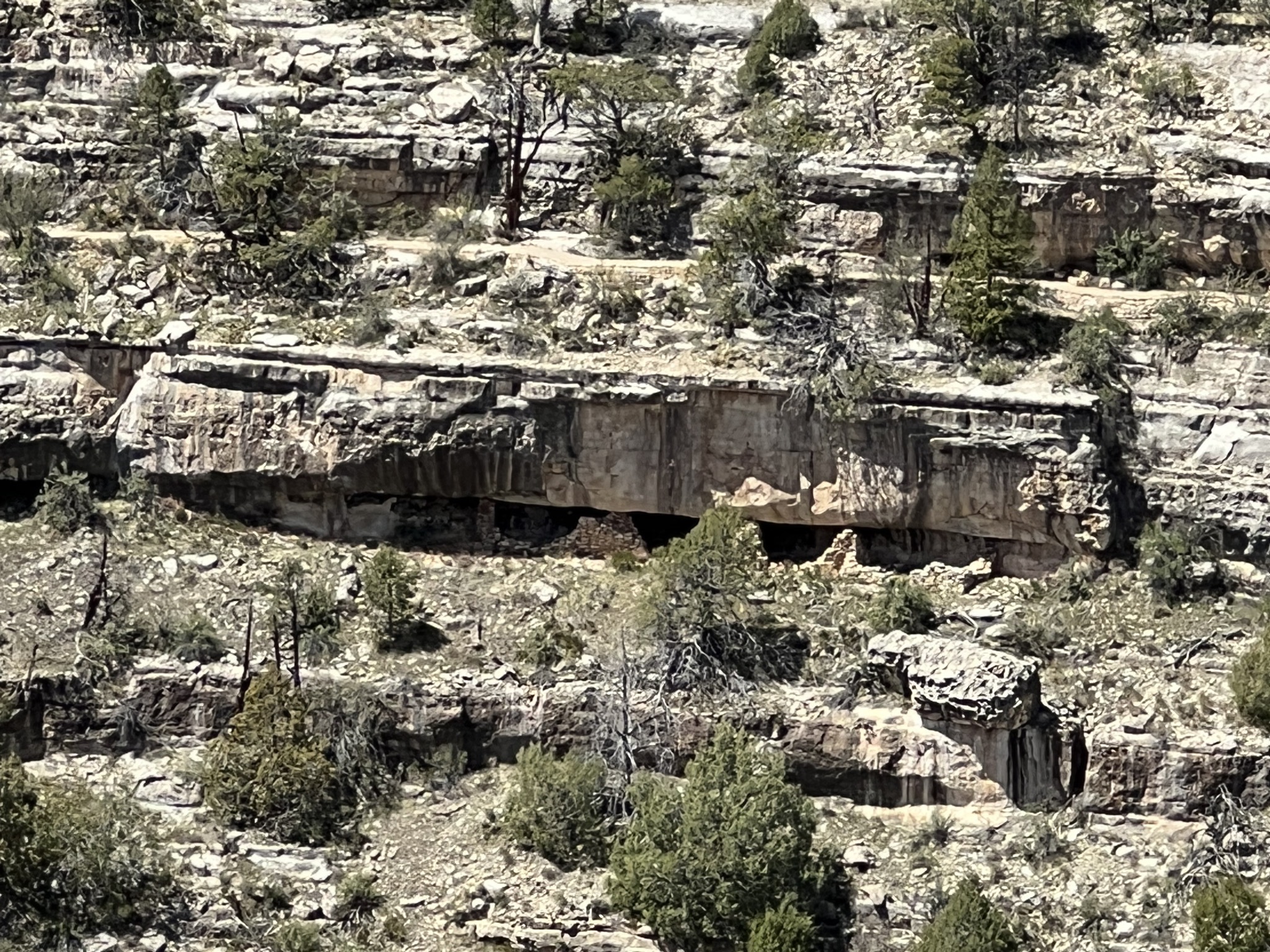 Walnut Canyon
