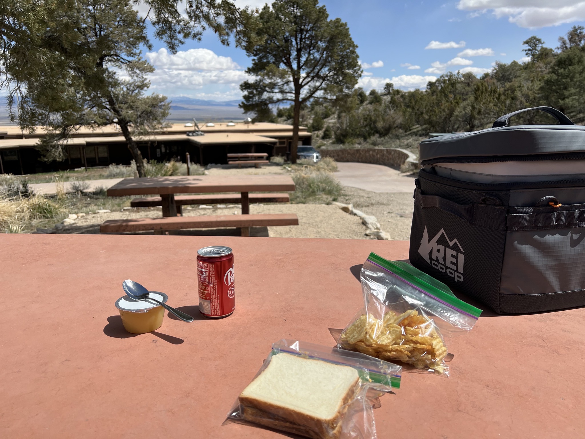 Picnic lunch