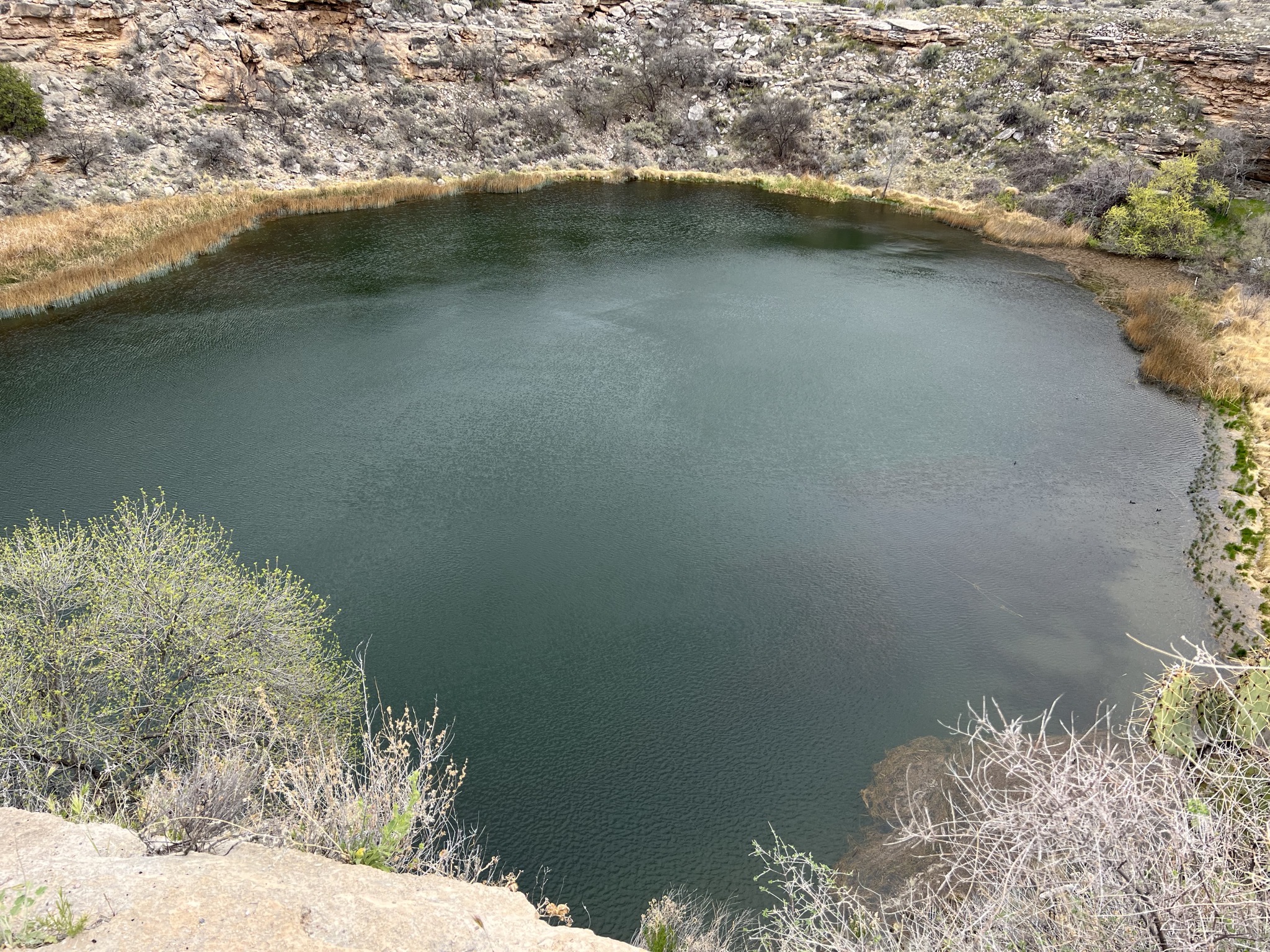 Montezuma Well