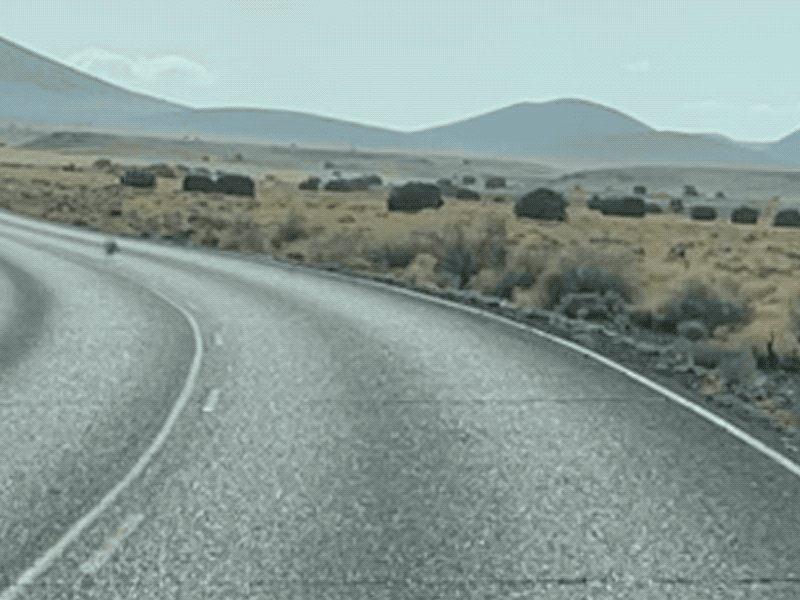 Tumbleweed GIF