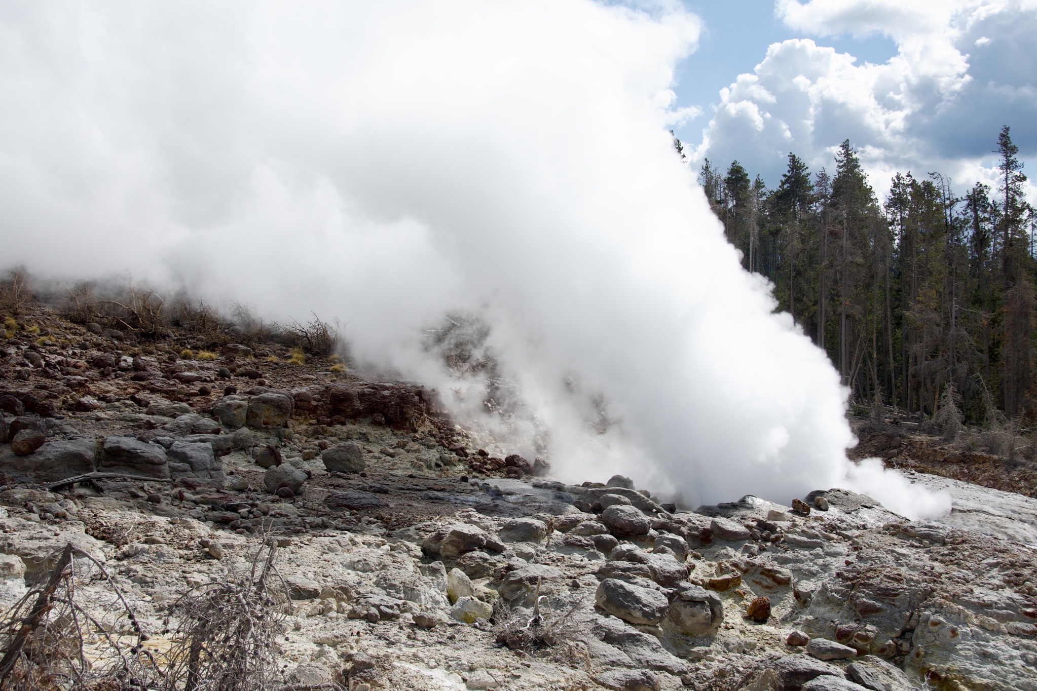 Yellowstone