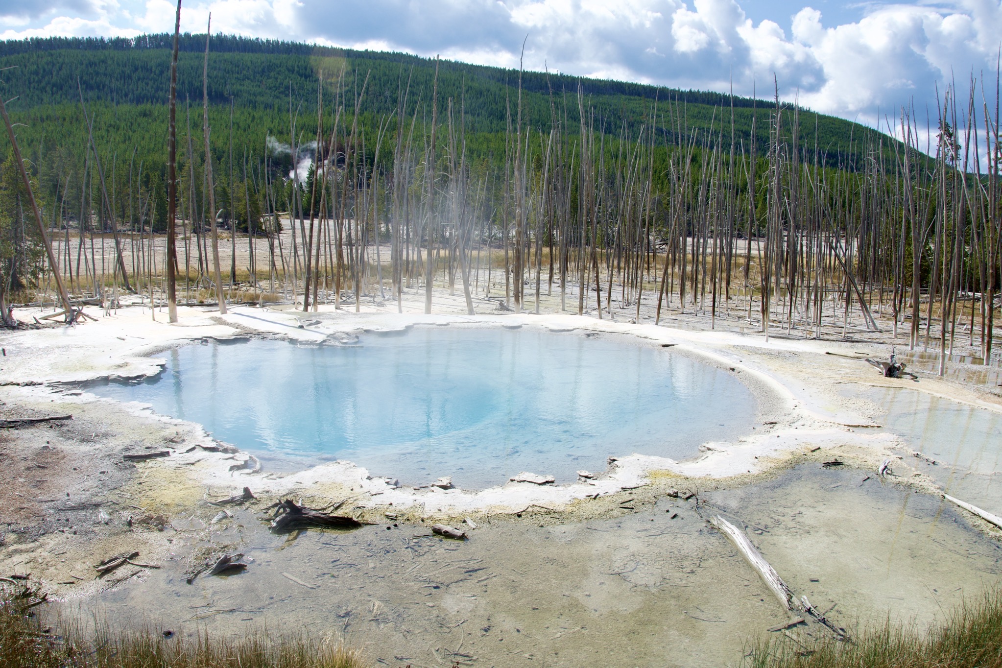 Yellowstone