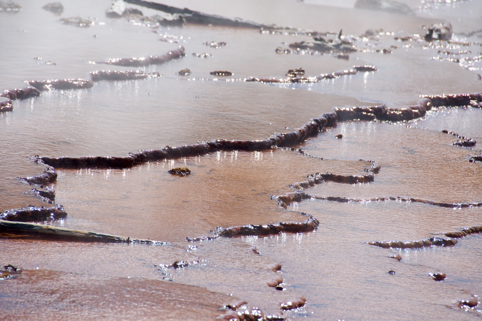Yellowstone