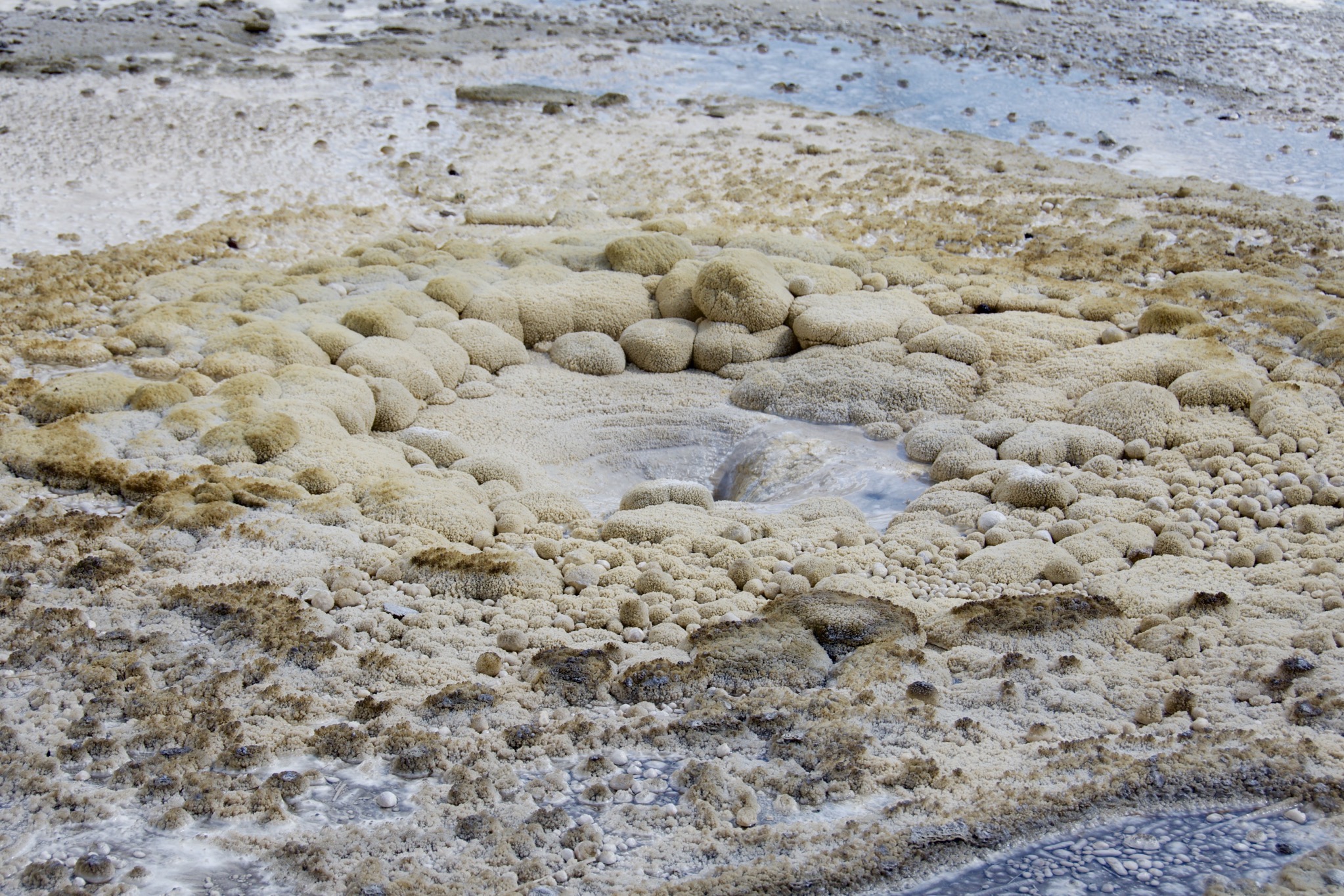 Yellowstone
