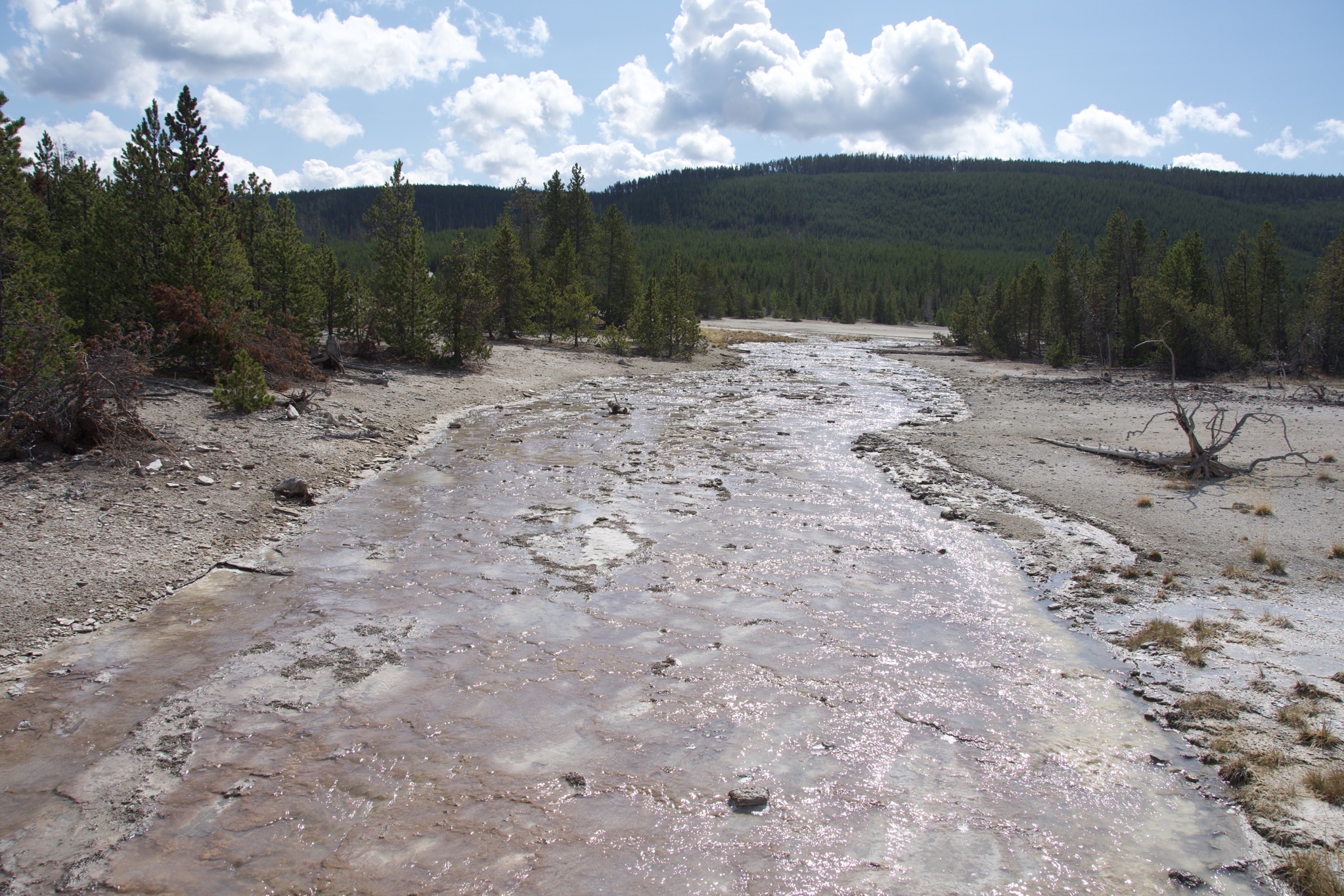 Yellowstone