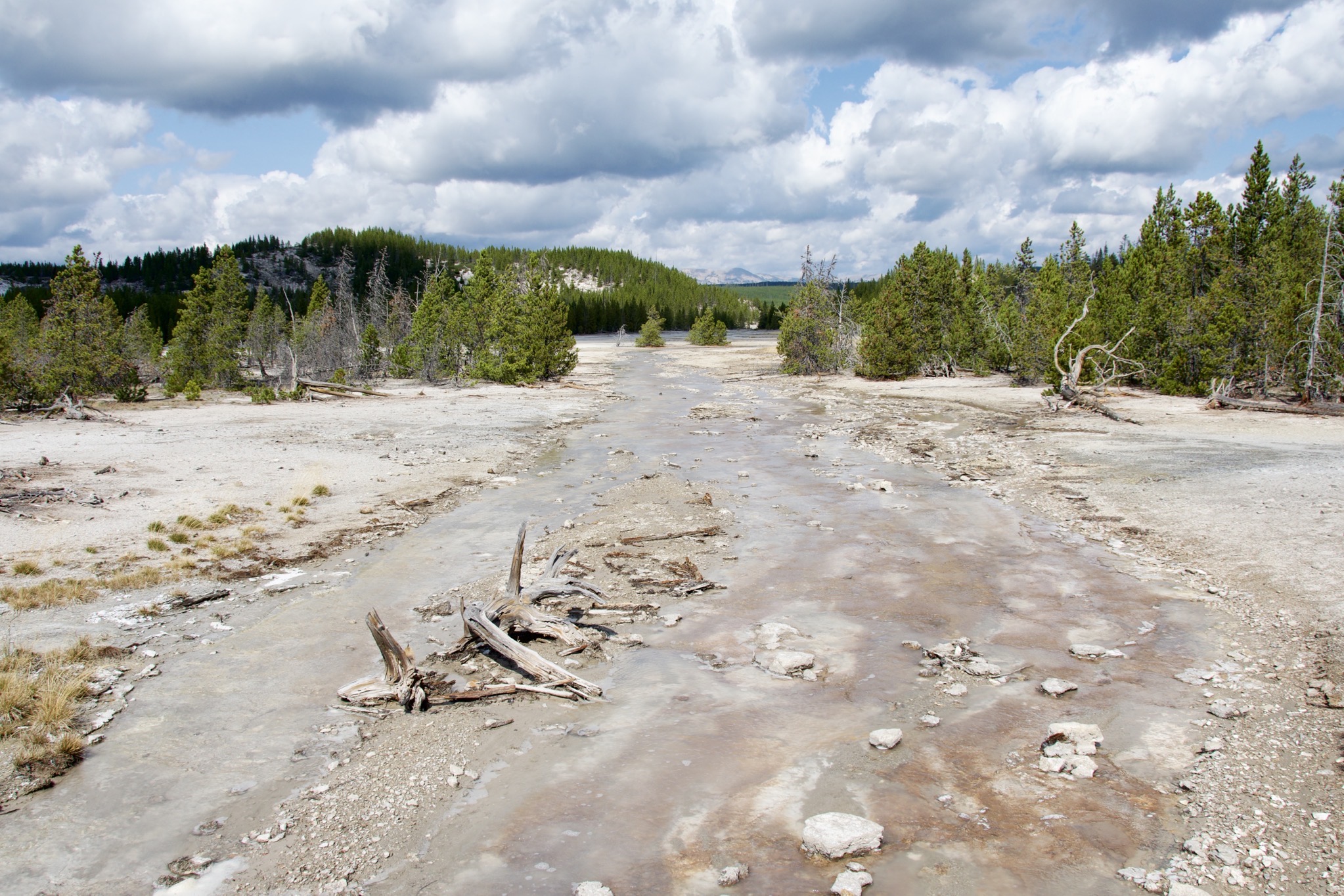Yellowstone