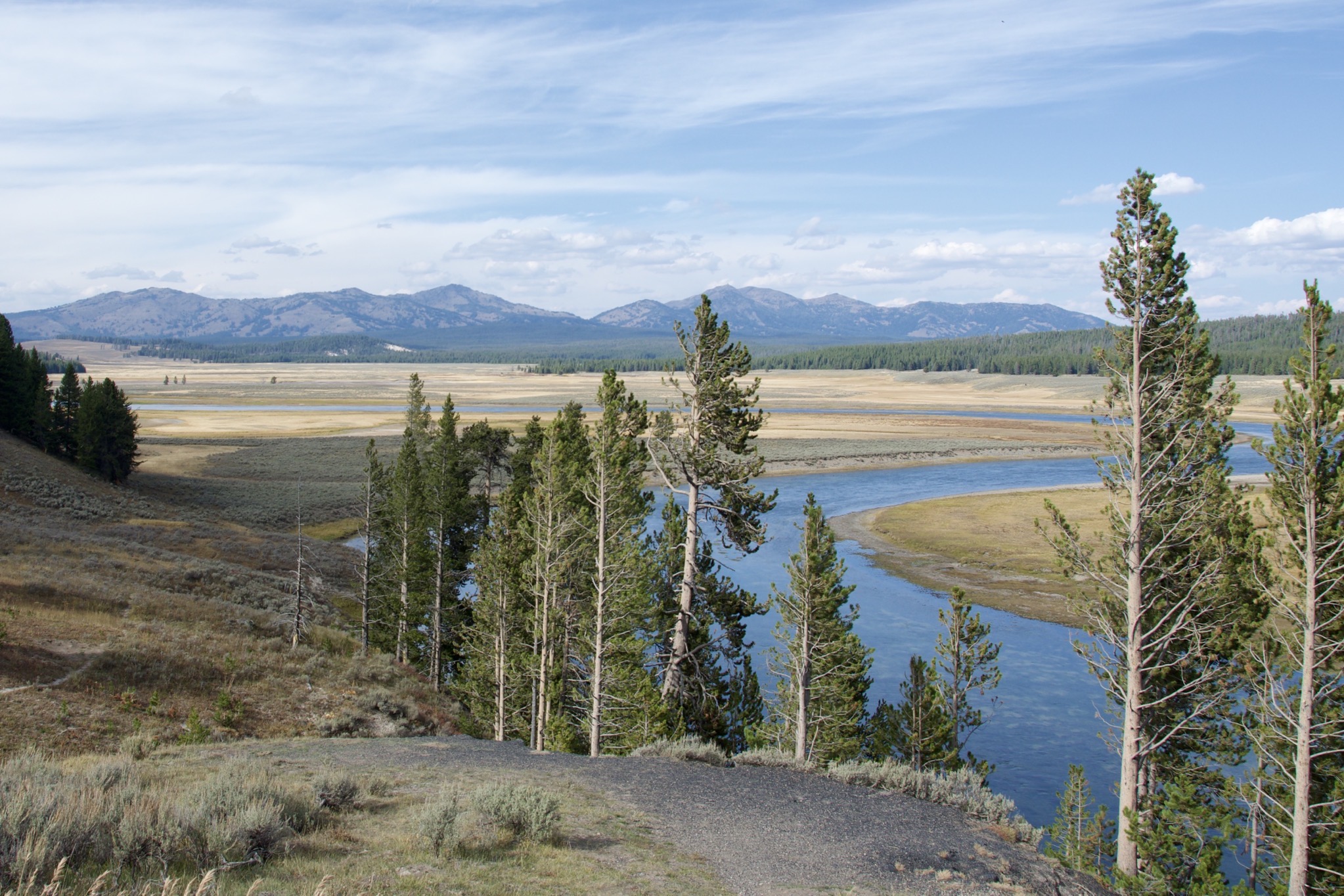 Yellowstone