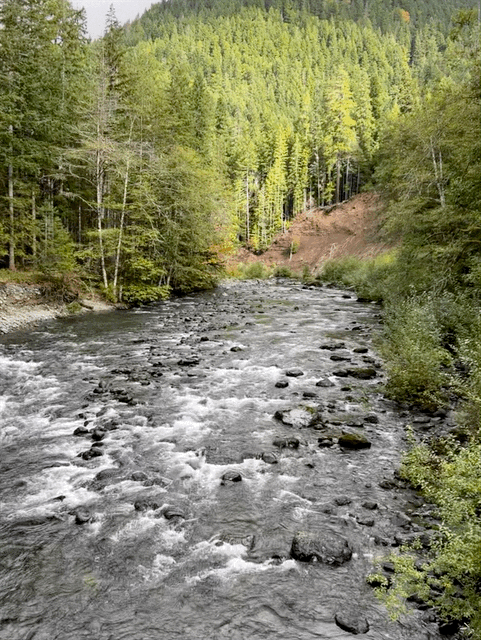 Olympic National Park