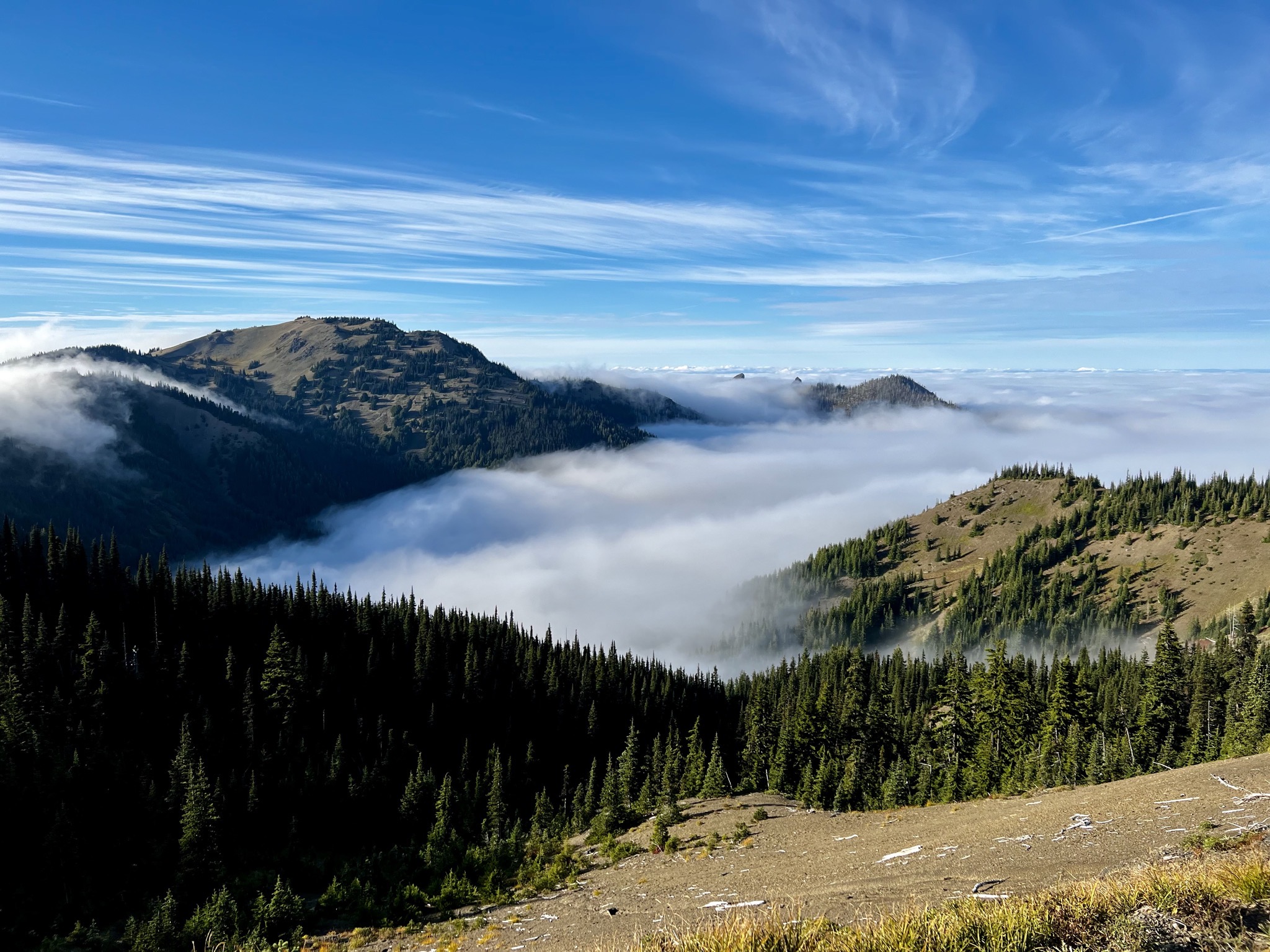 Olympic National Park