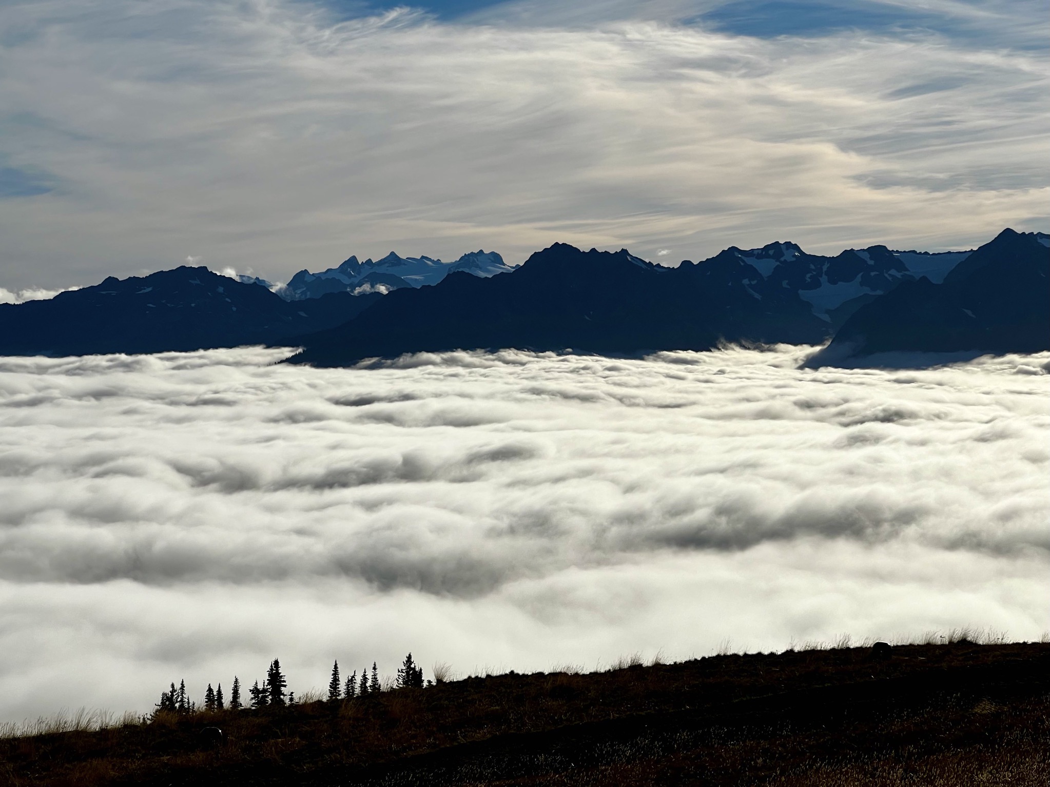 Olympic National Park