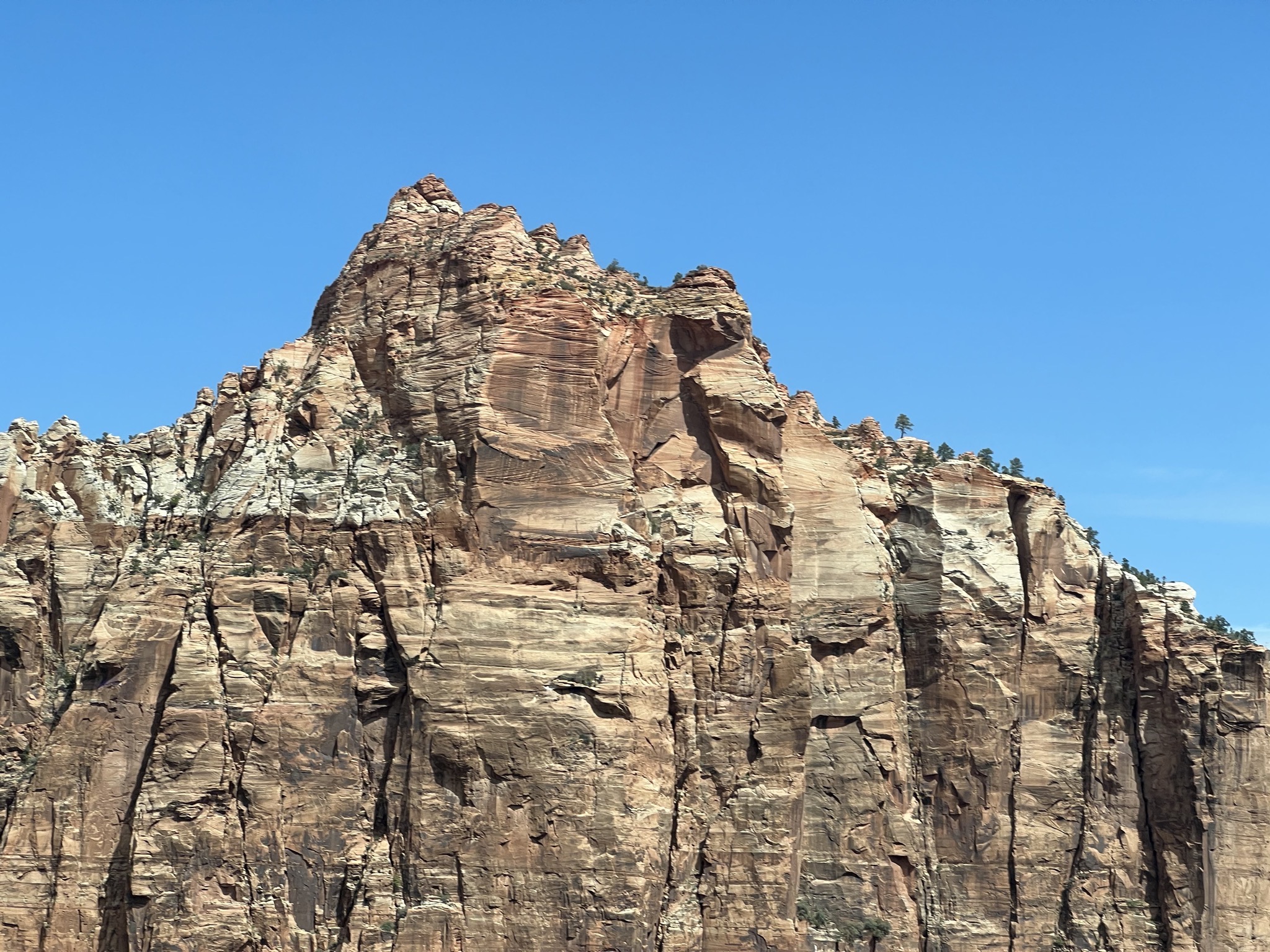 Rocks