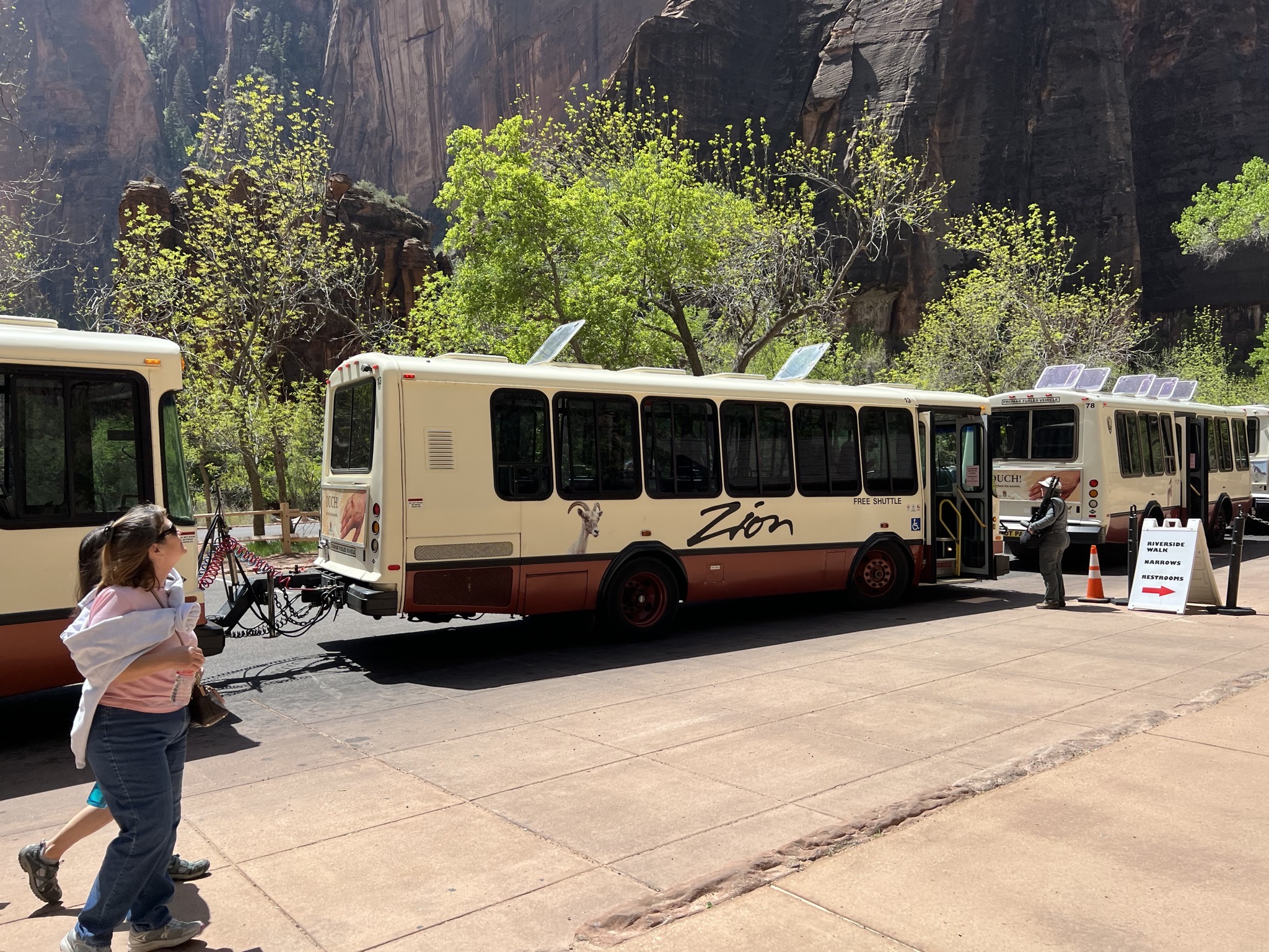 Shuttle buses