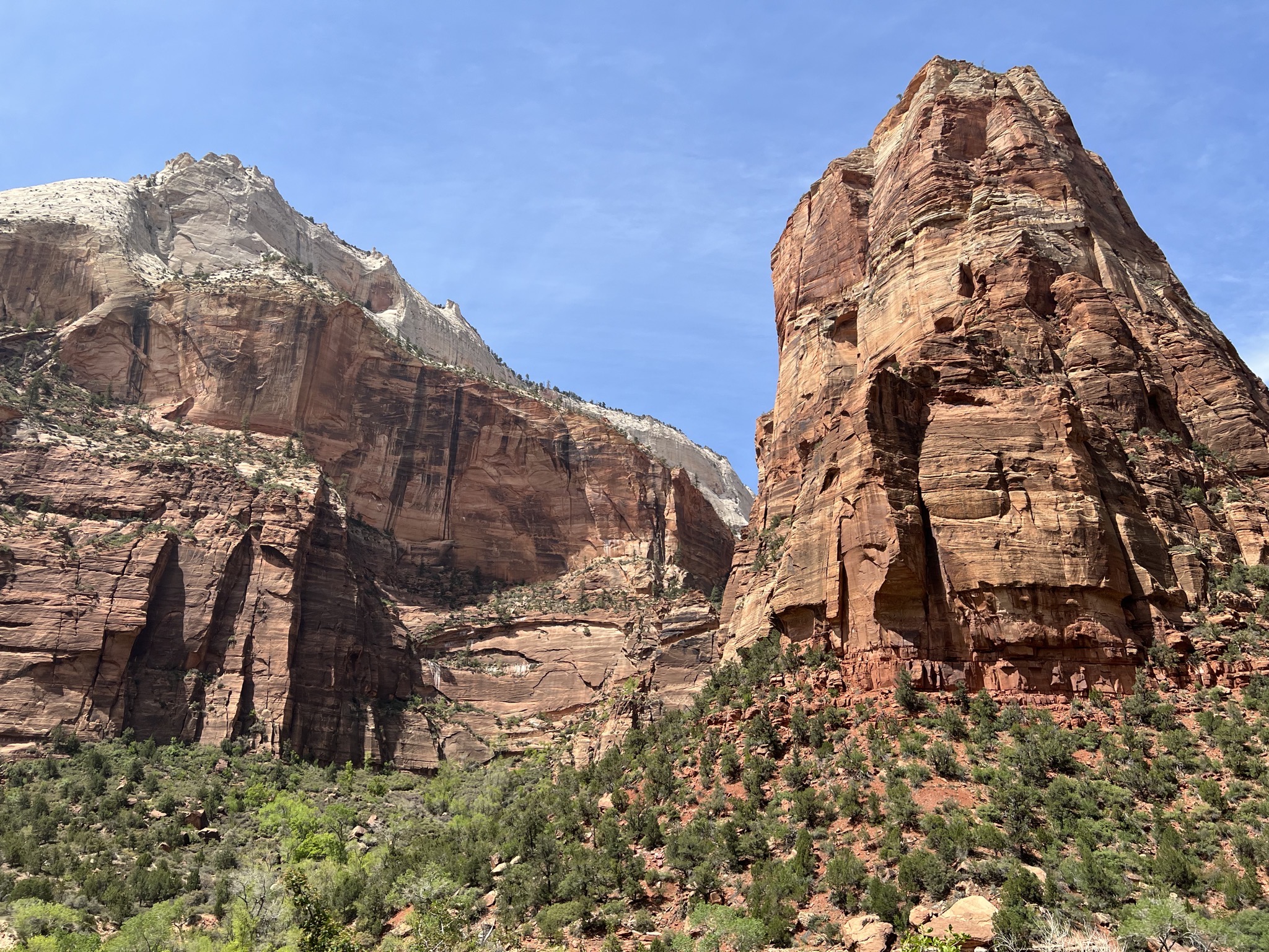 Rocks