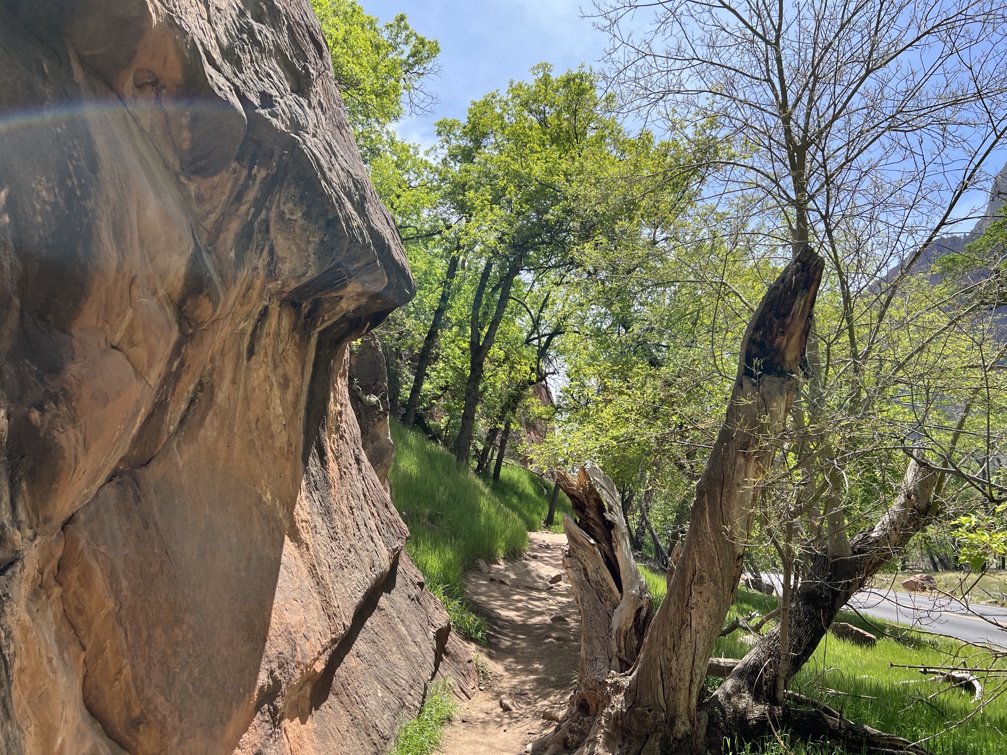 Trail