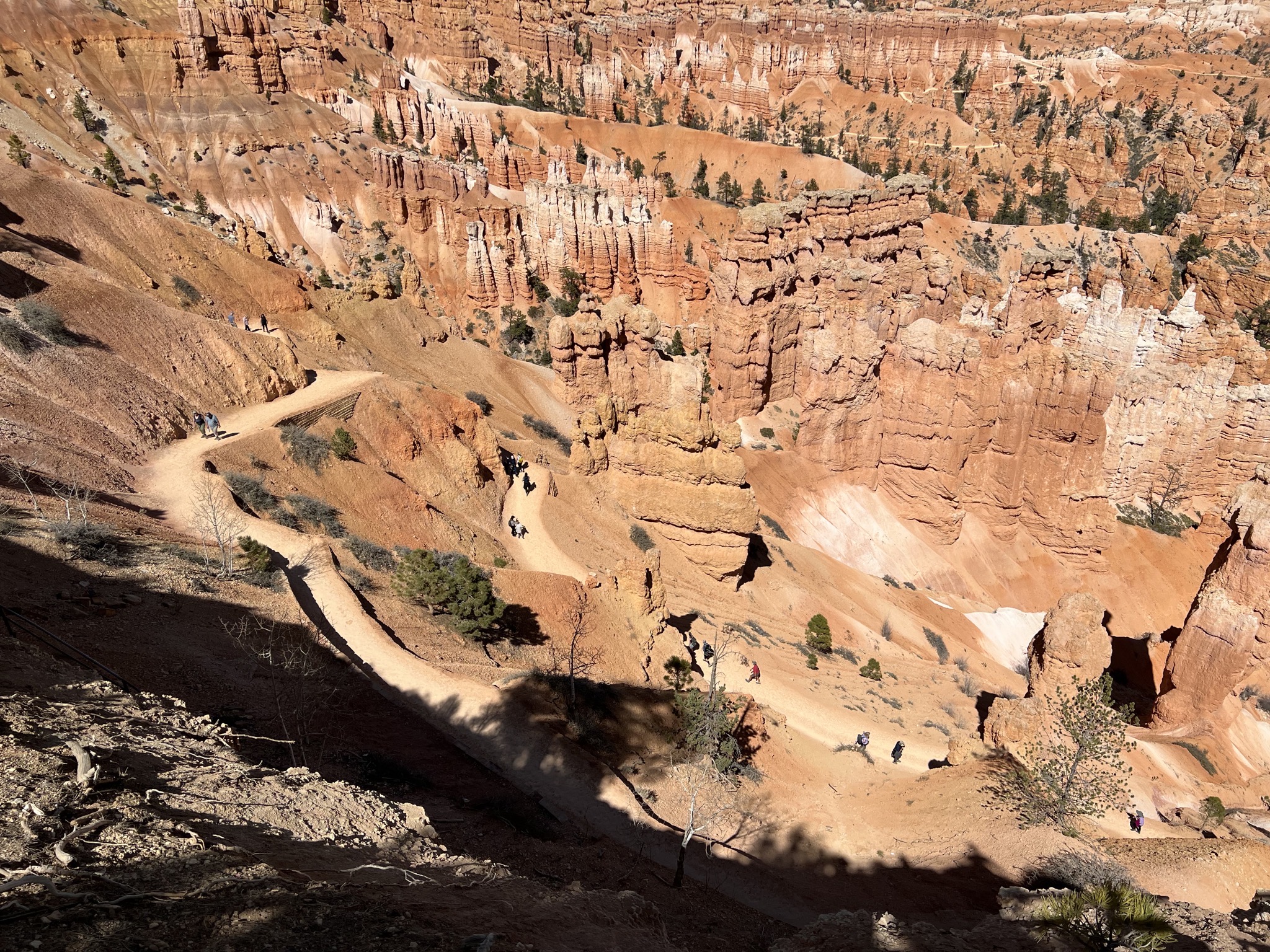 Trail