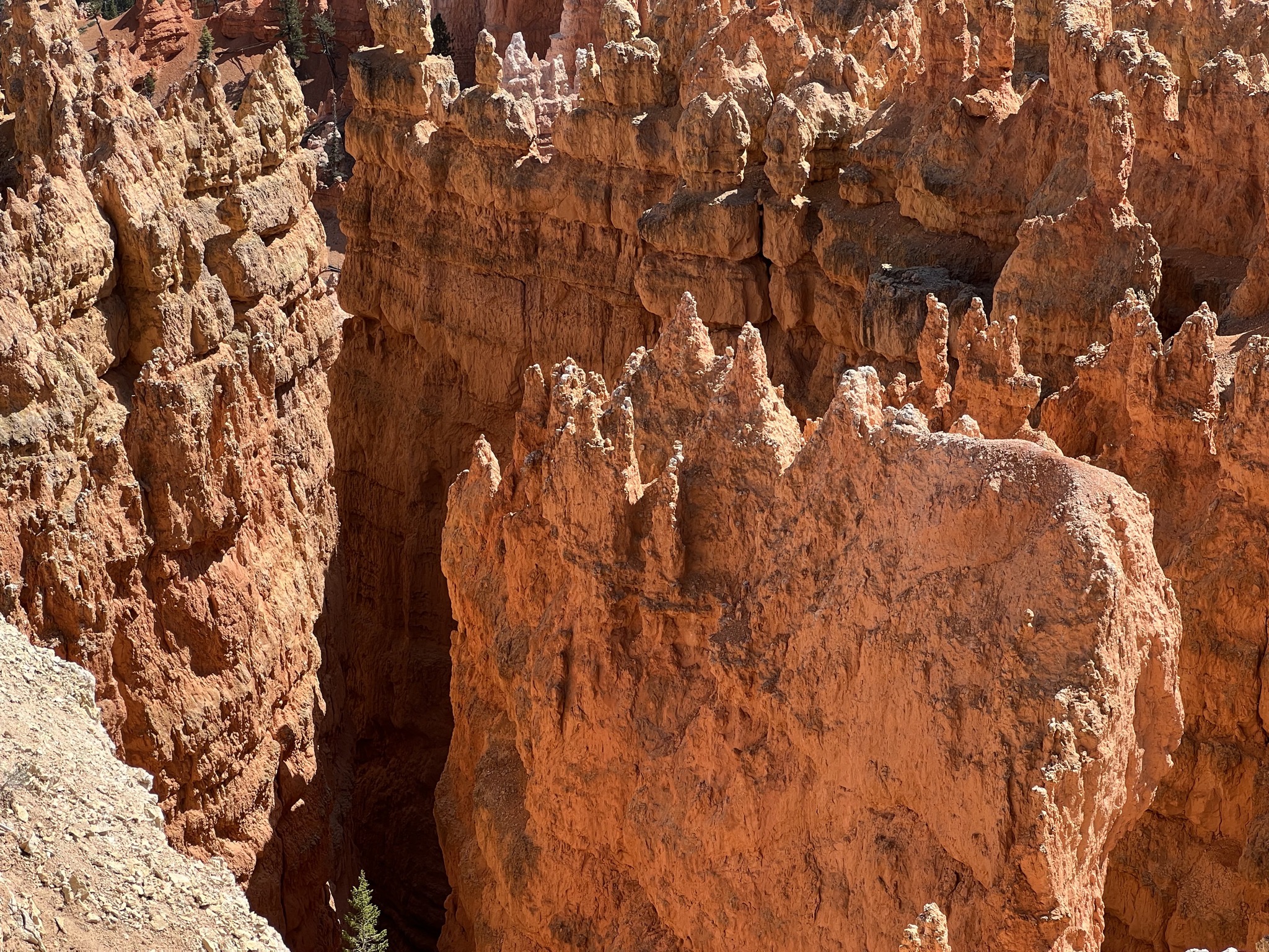 Bryce Canyon
