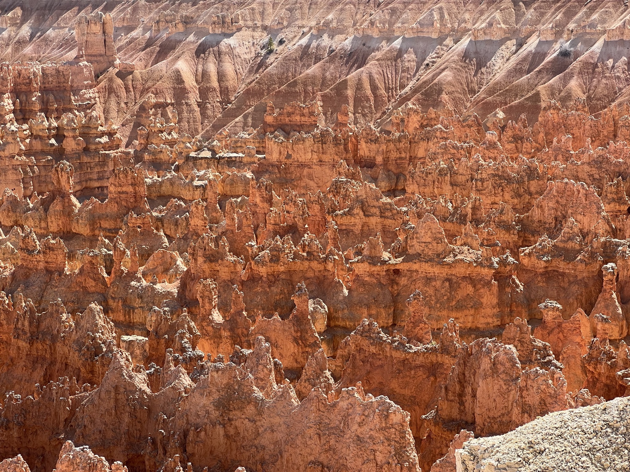 Bryce Canyon