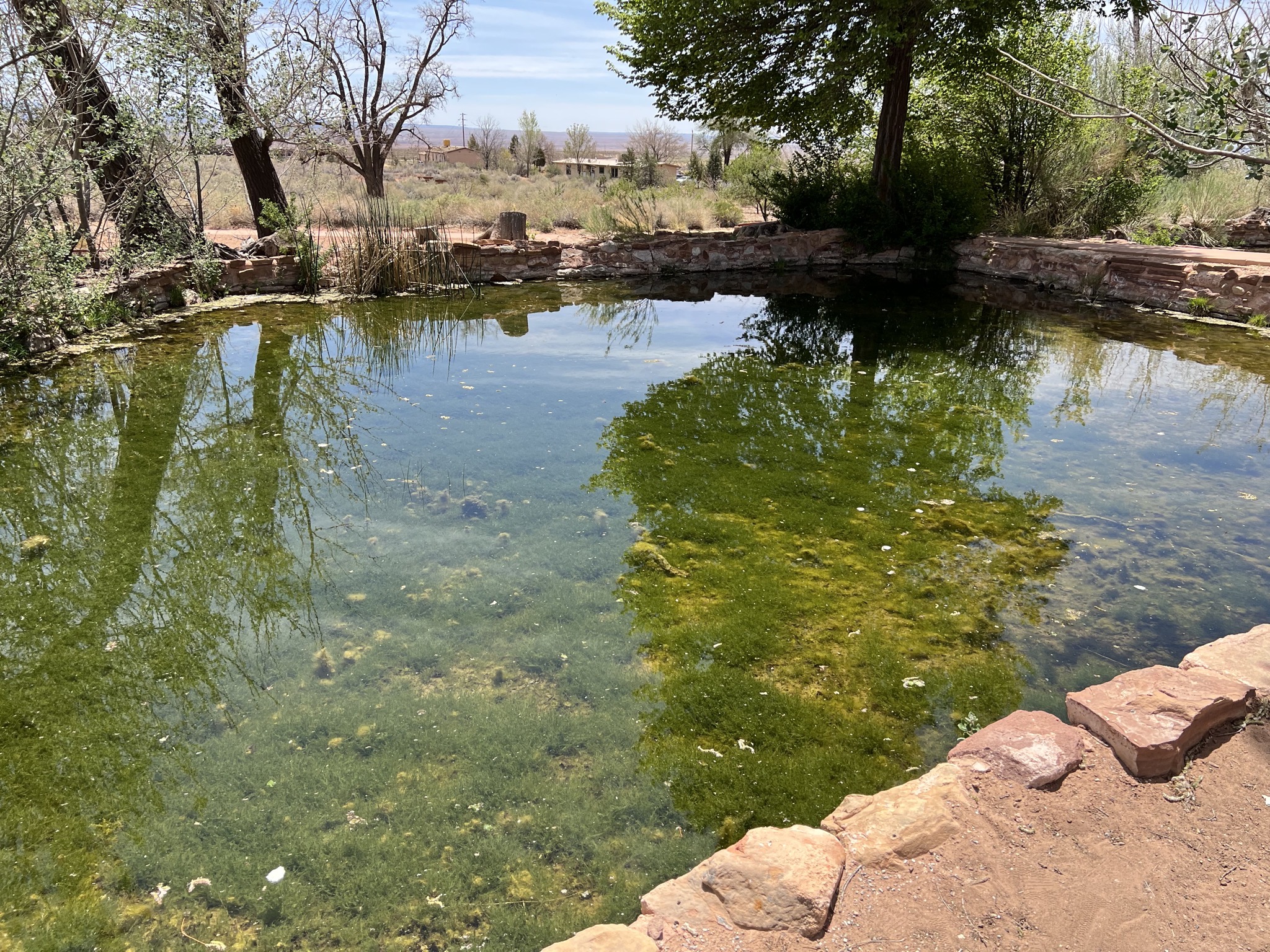 Pond