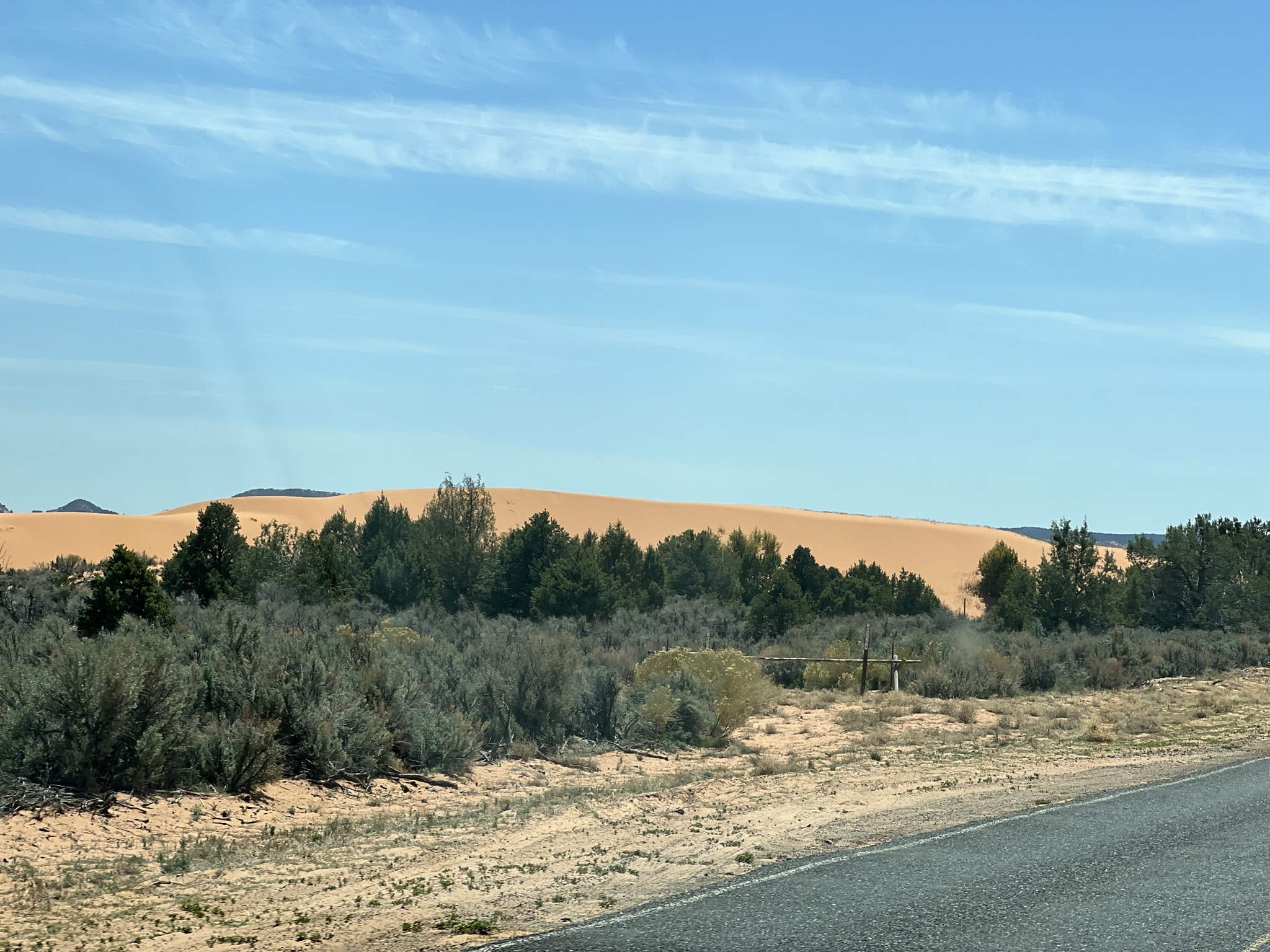 Coral Pink Sand Dunes