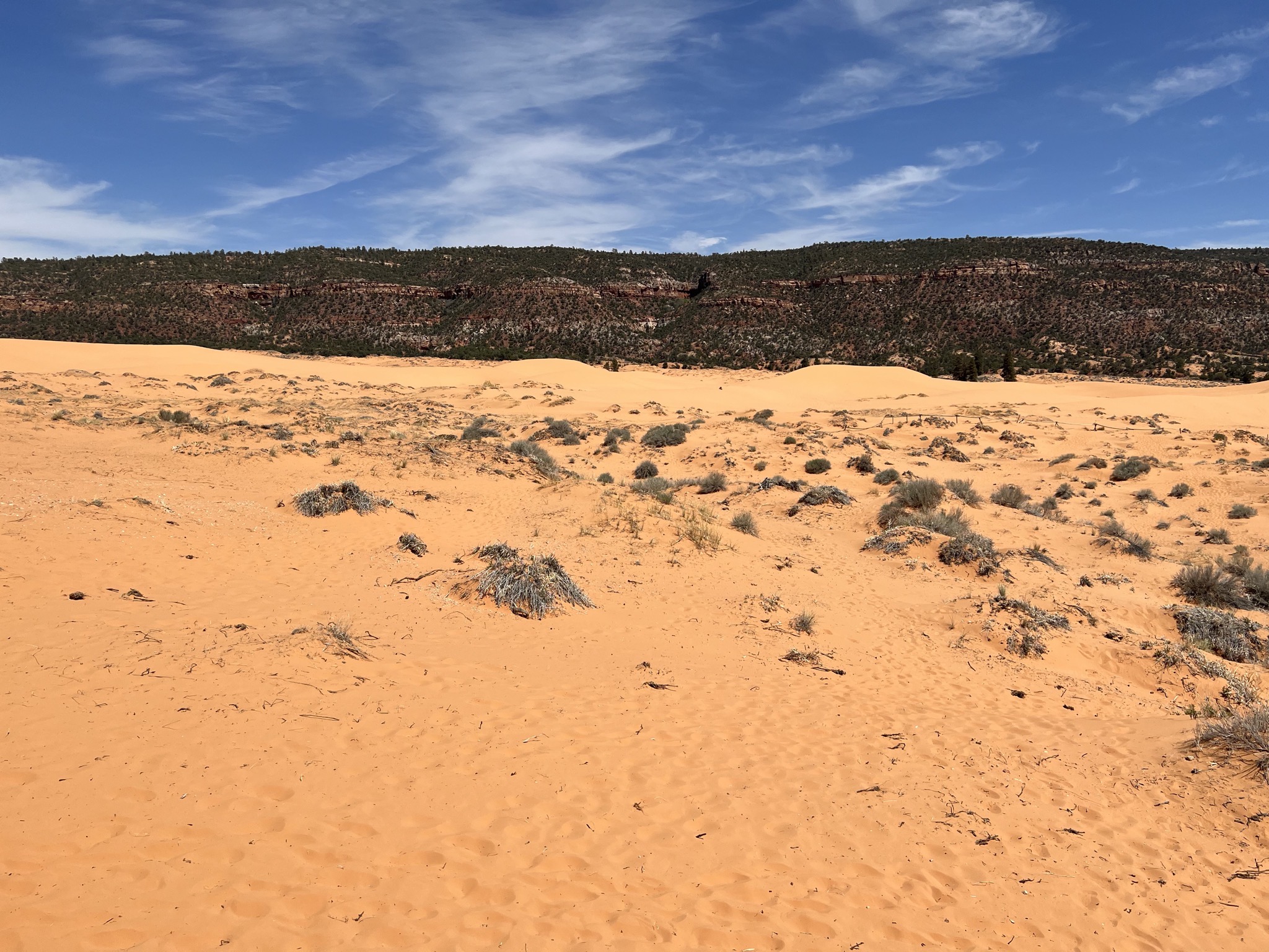 Coral Pink Sand Dunes