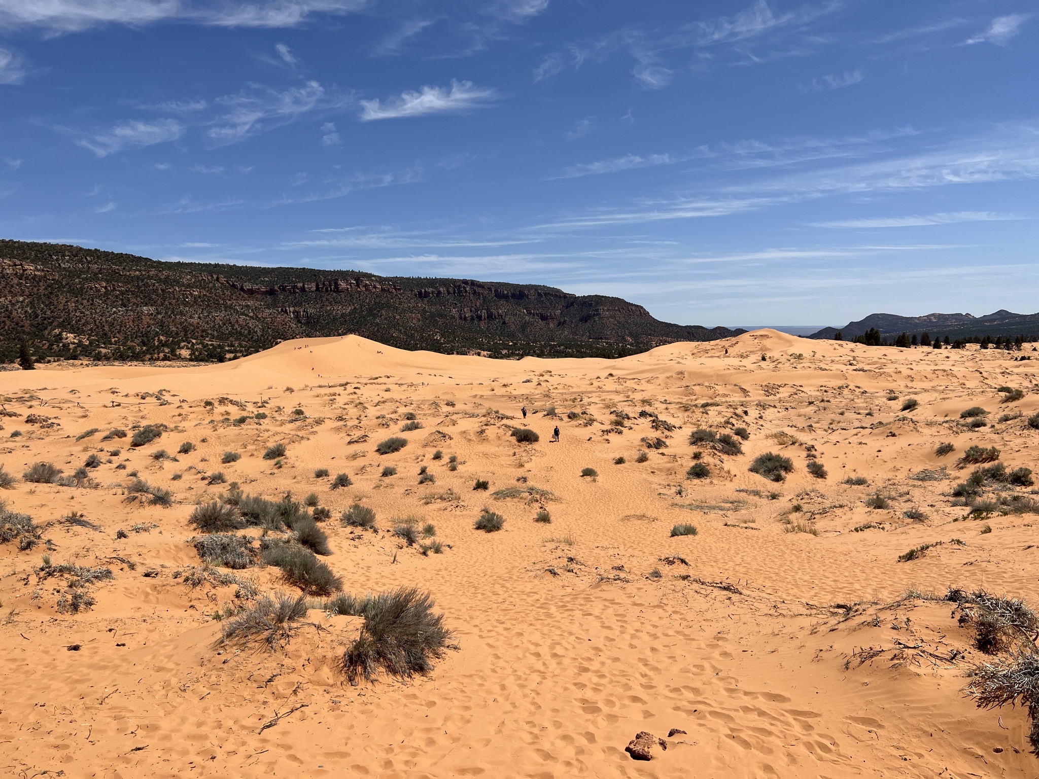Coral Pink Sand Dunes