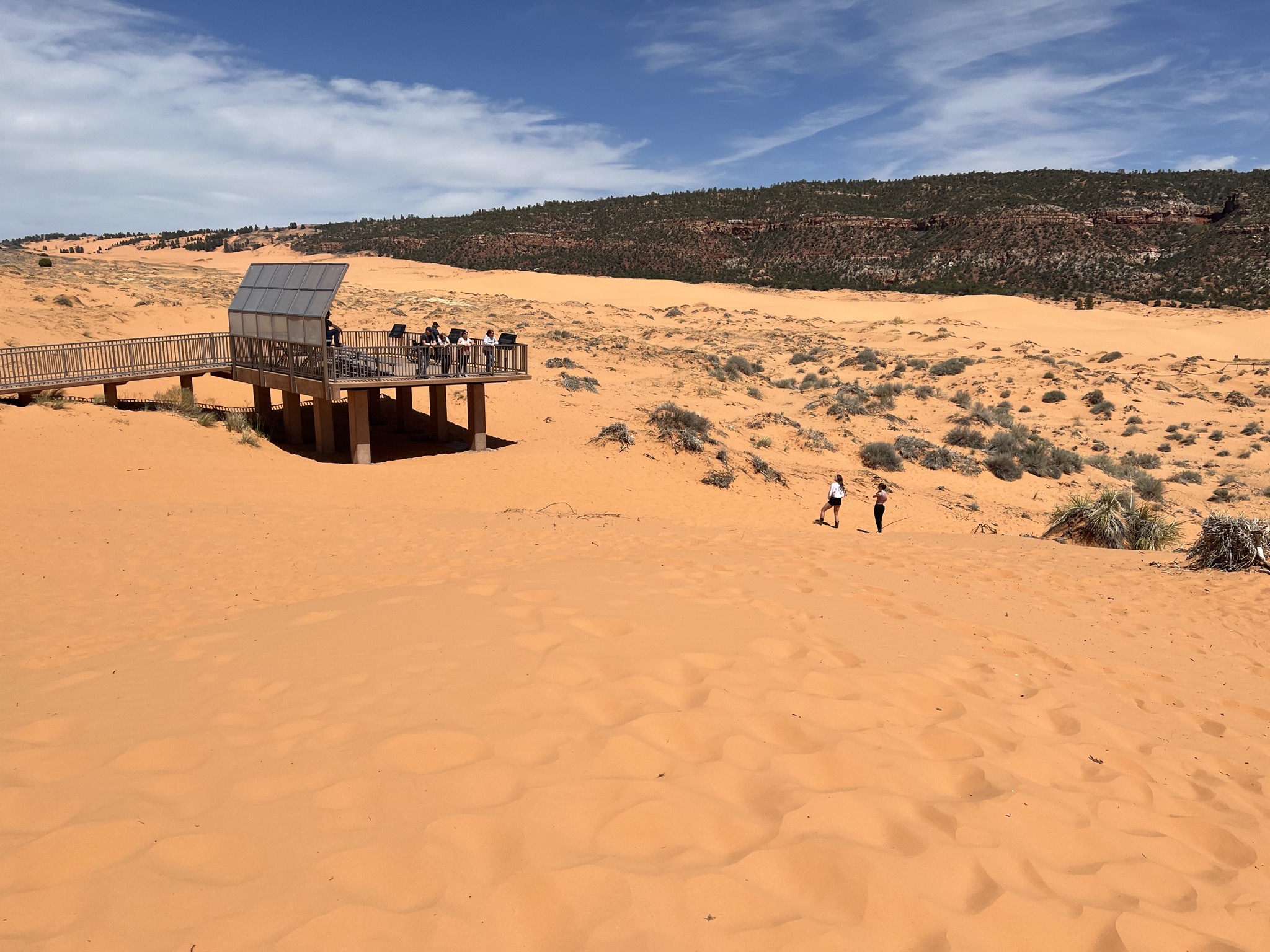 Coral Pink Sand Dunes