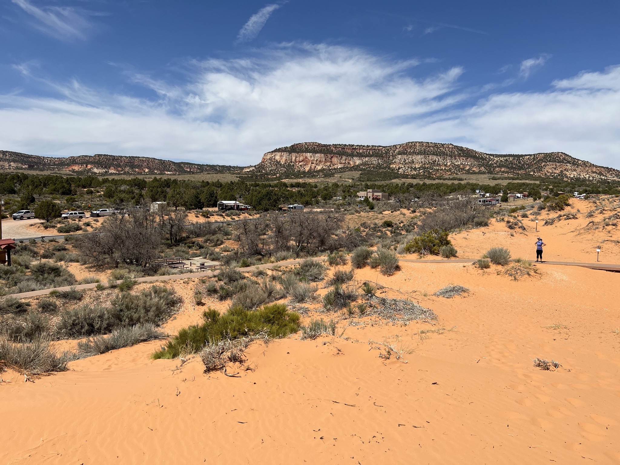 Coral Pink Sand Dunes