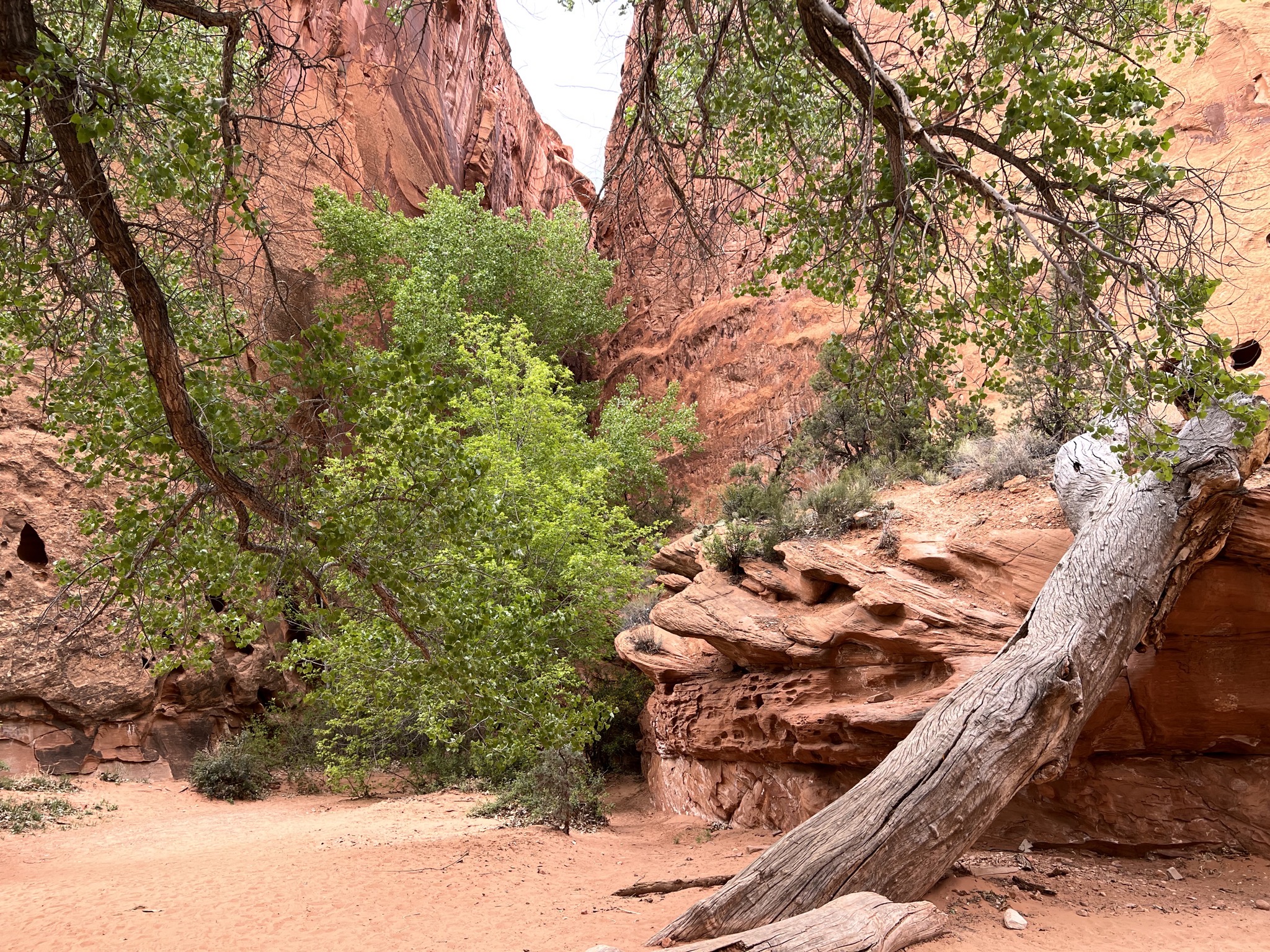 Singing canyon