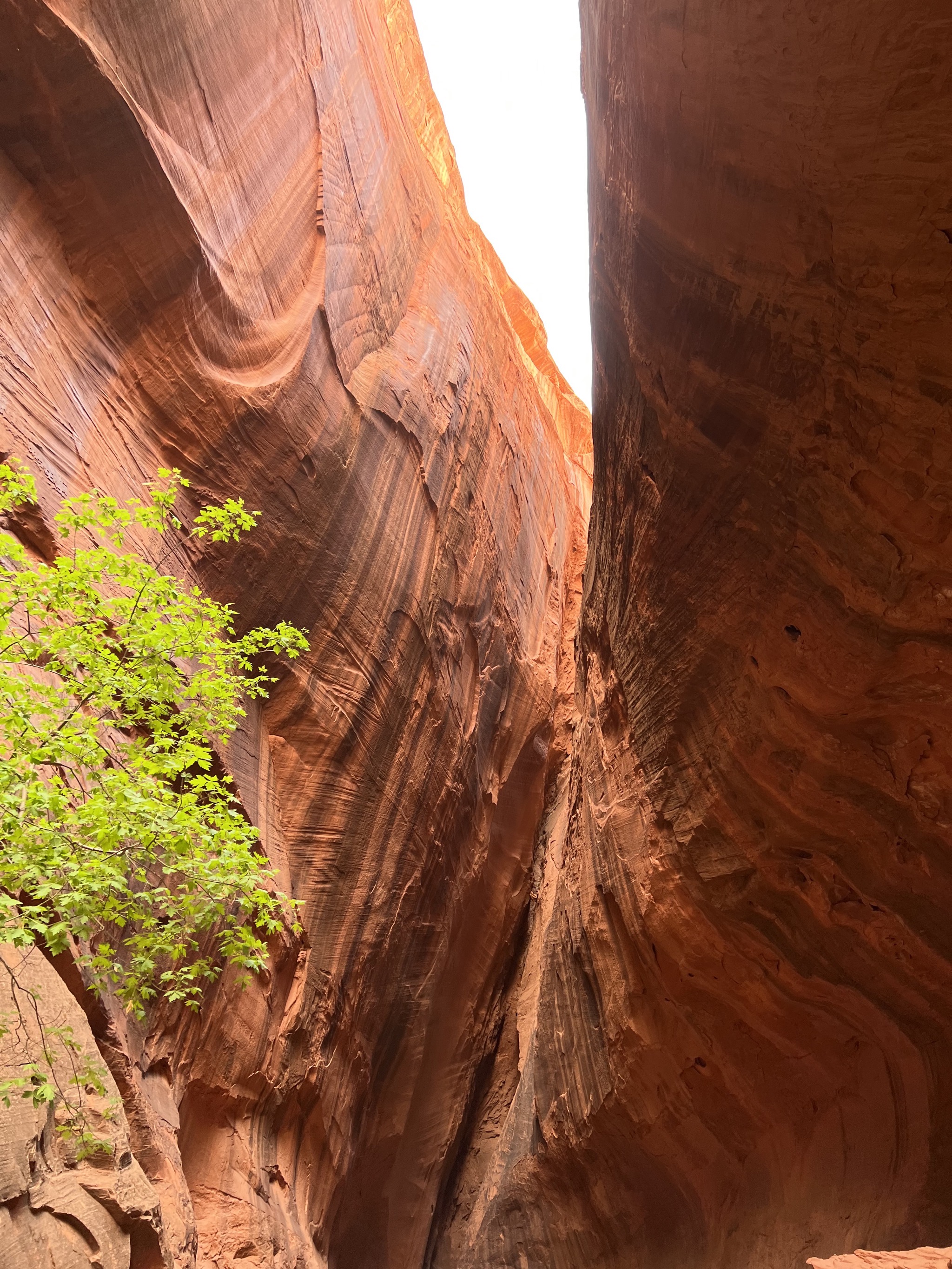 Singing canyon