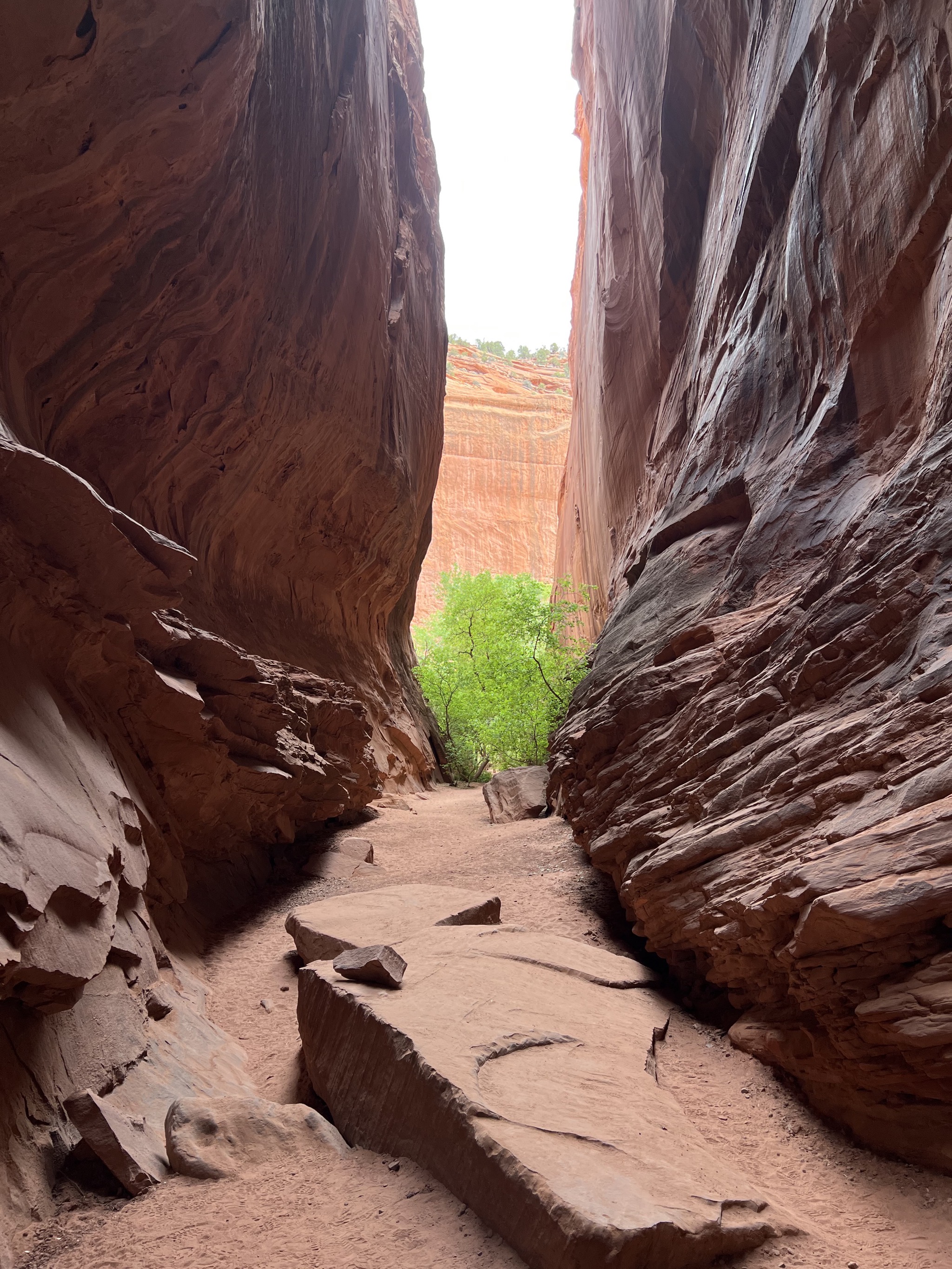 Singing canyon