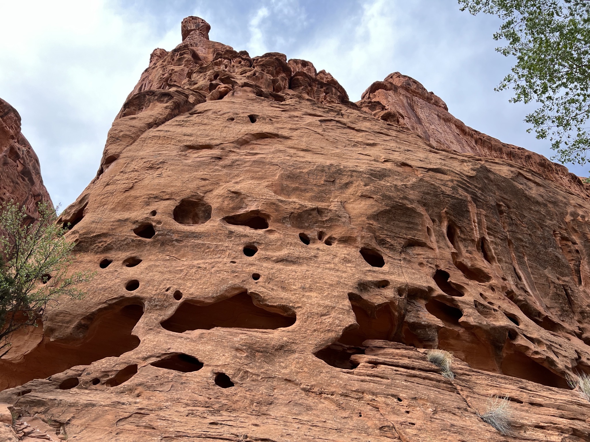 Singing canyon