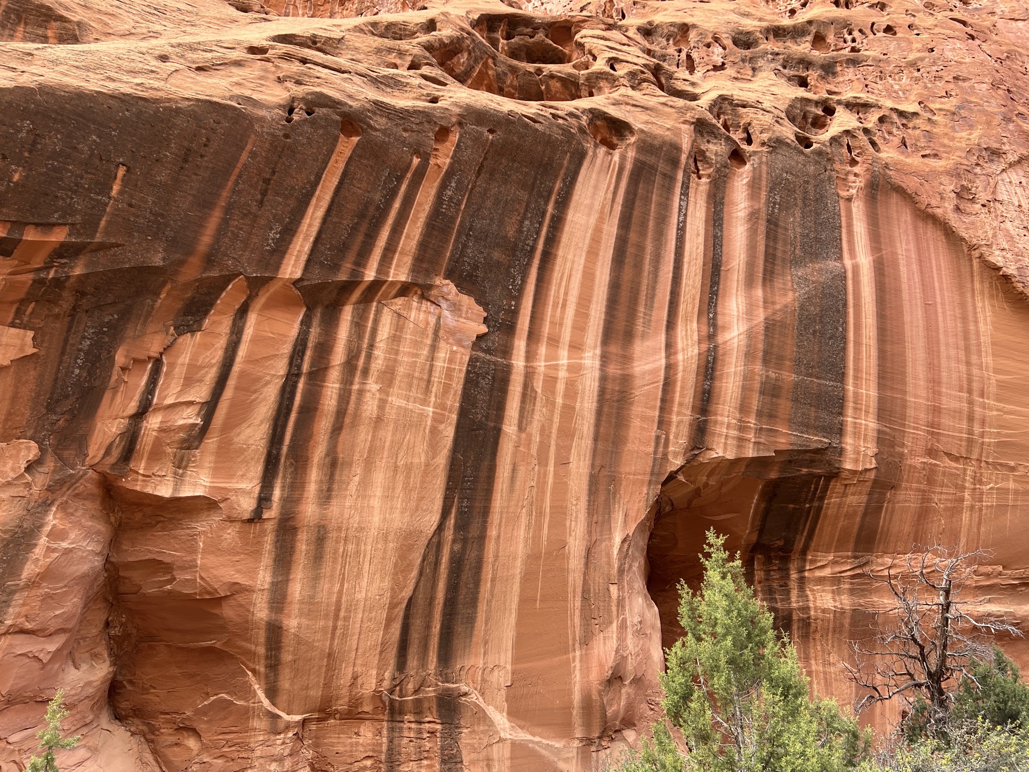 Interesting rocks