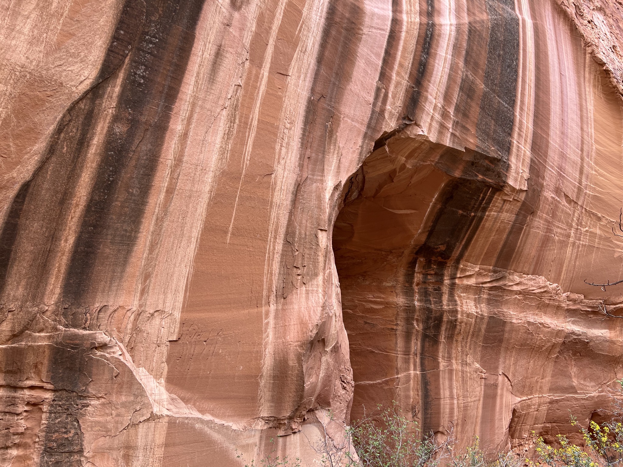Interesting rocks