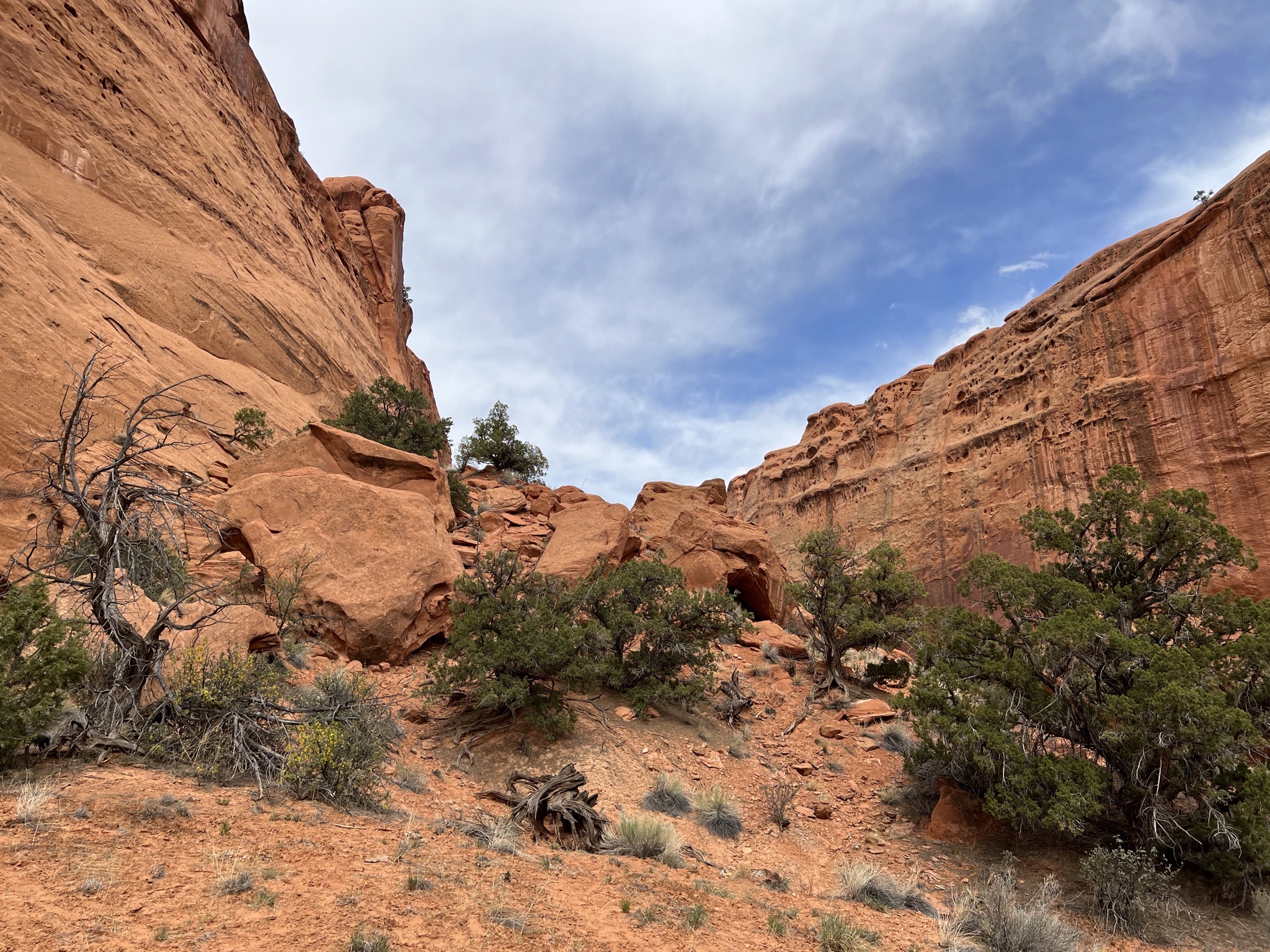Interesting rocks
