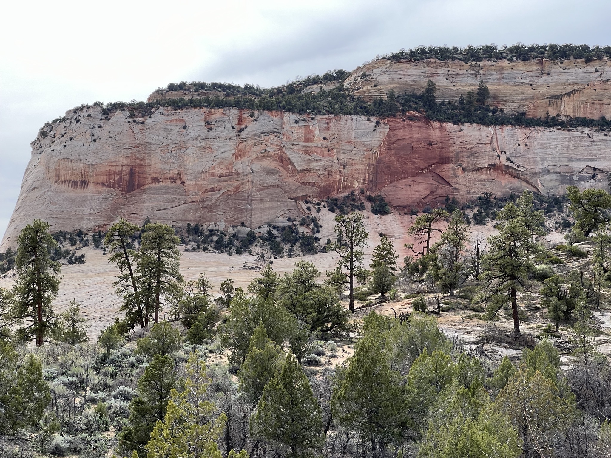Zion National Park
