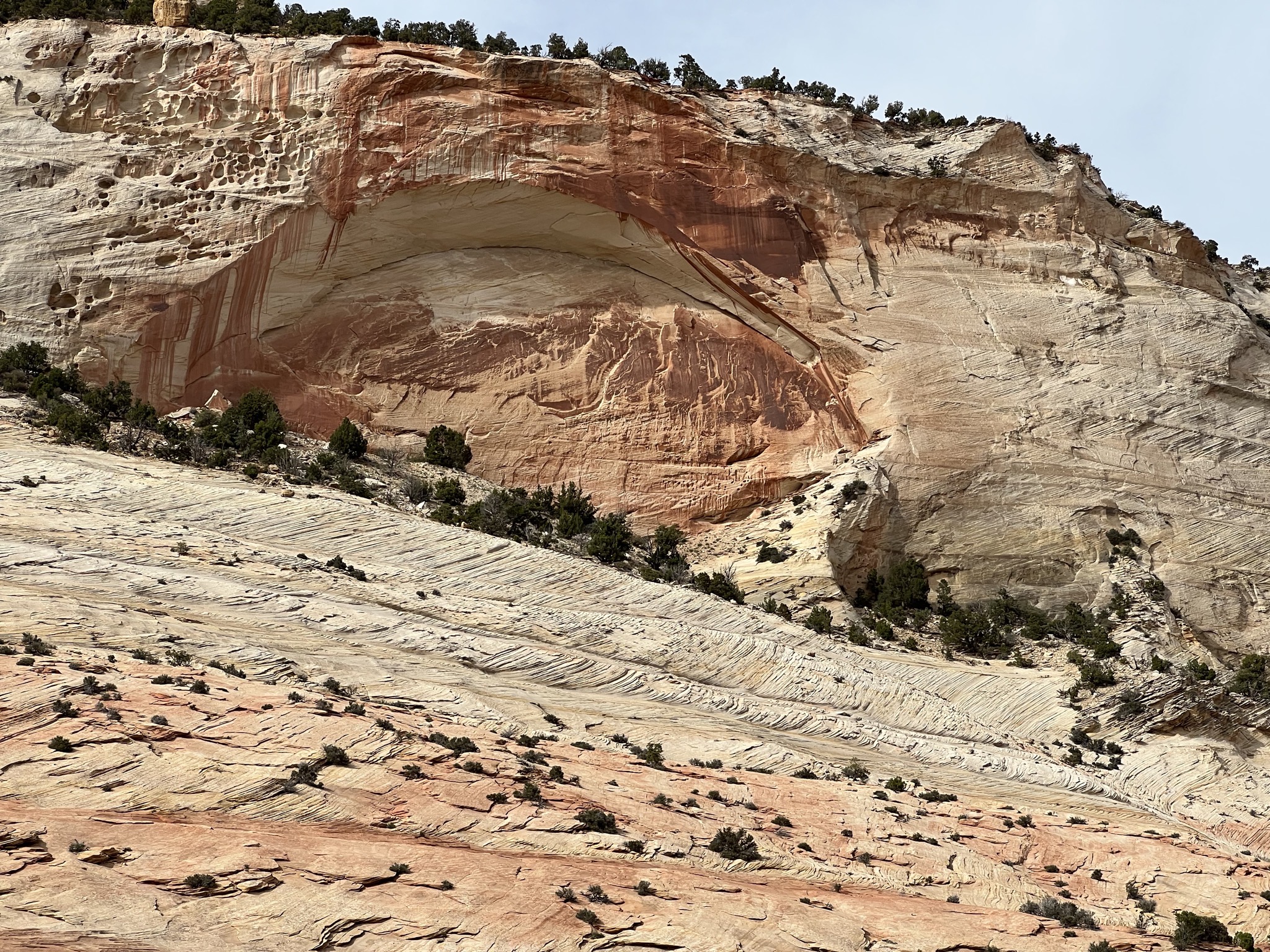Zion National Park