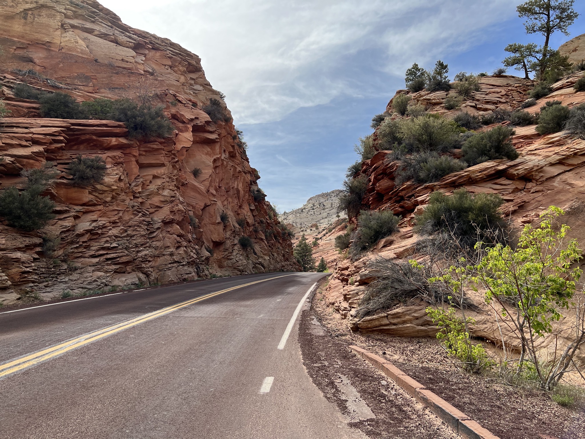 Zion National Park