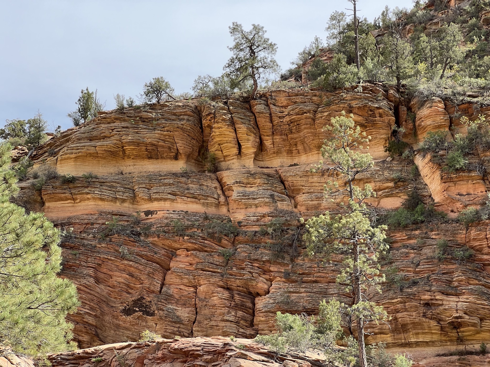 Zion National Park