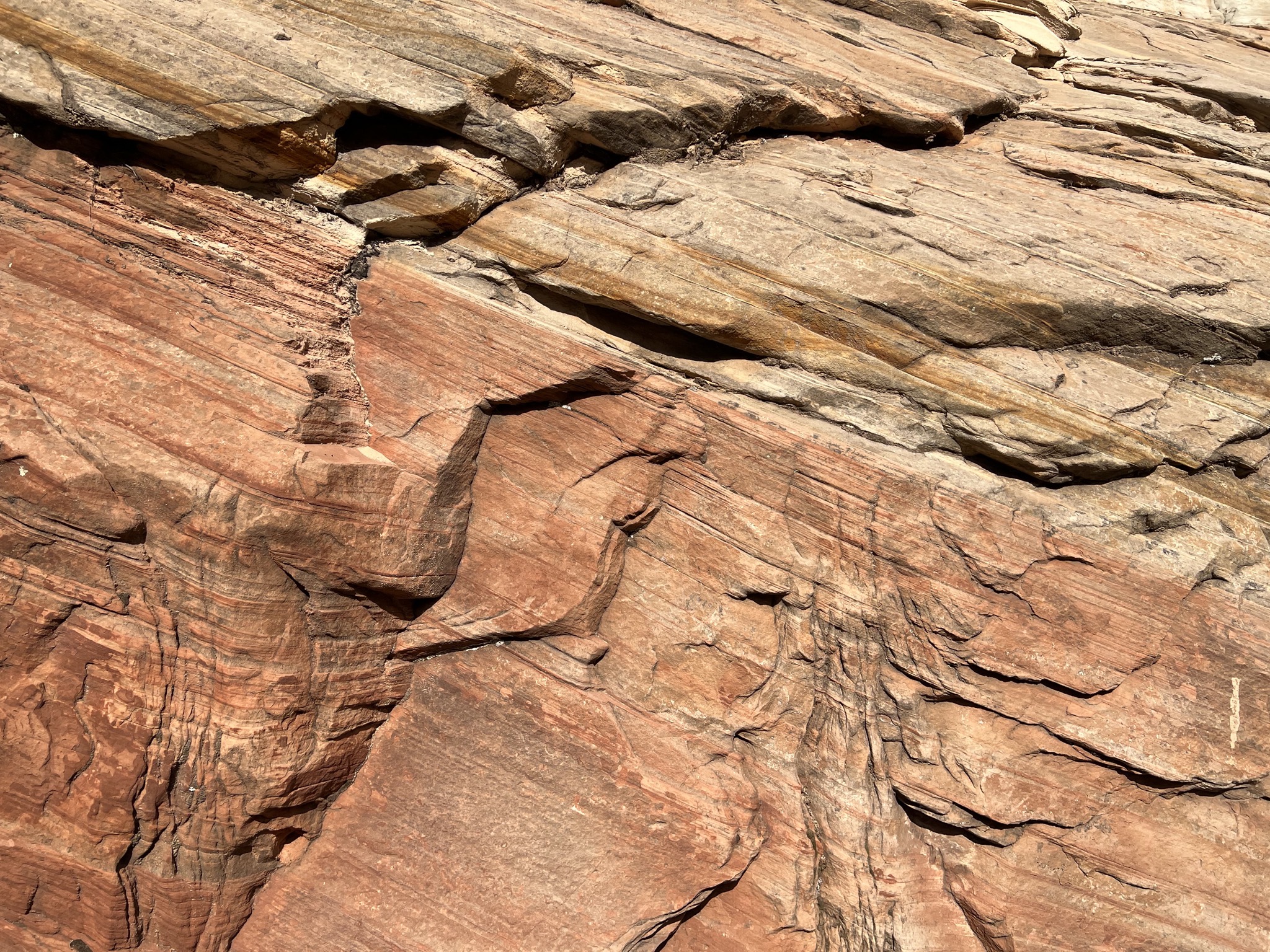 Zion National Park