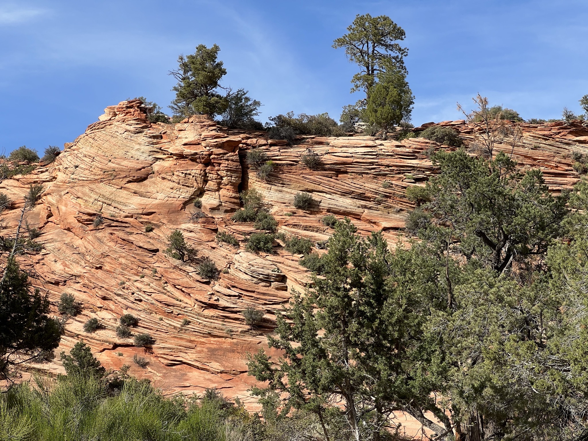 Zion National Park