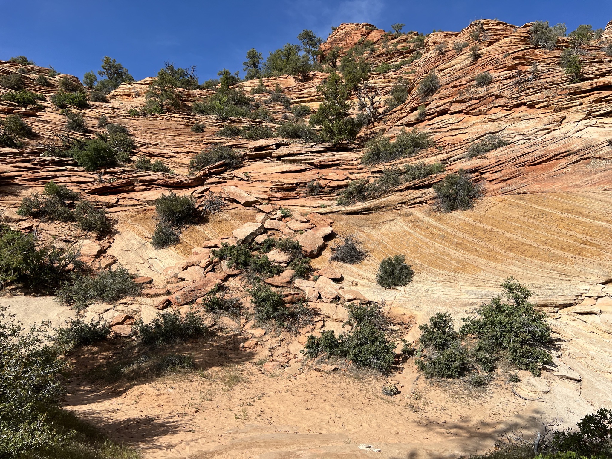 Zion National Park
