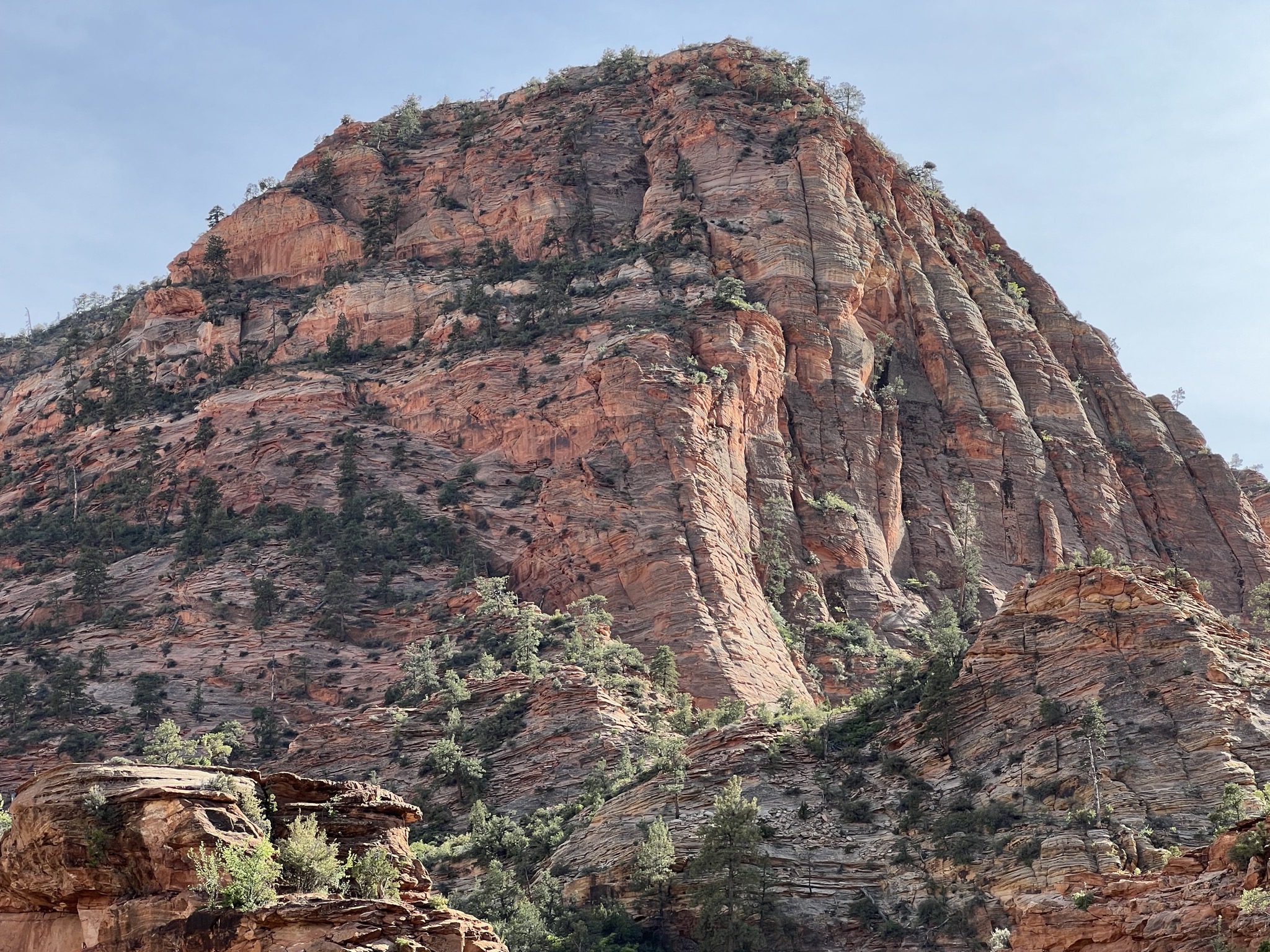 Zion National Park