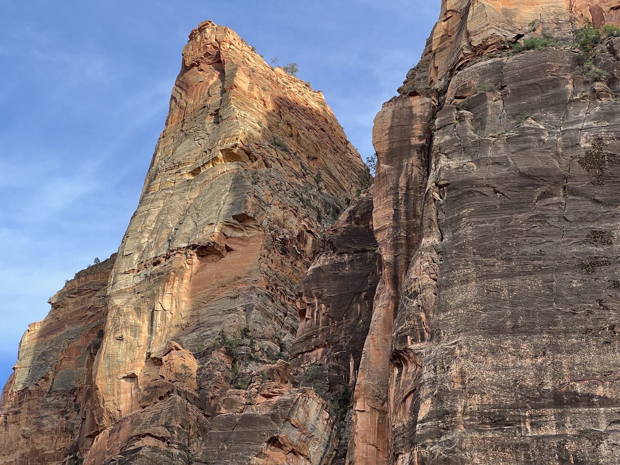 Zion National Park