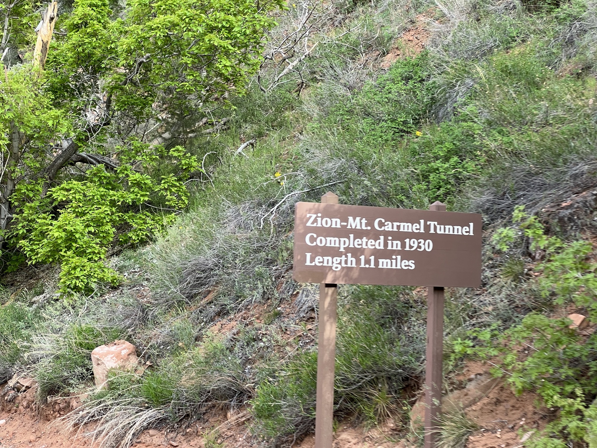 Tunnel