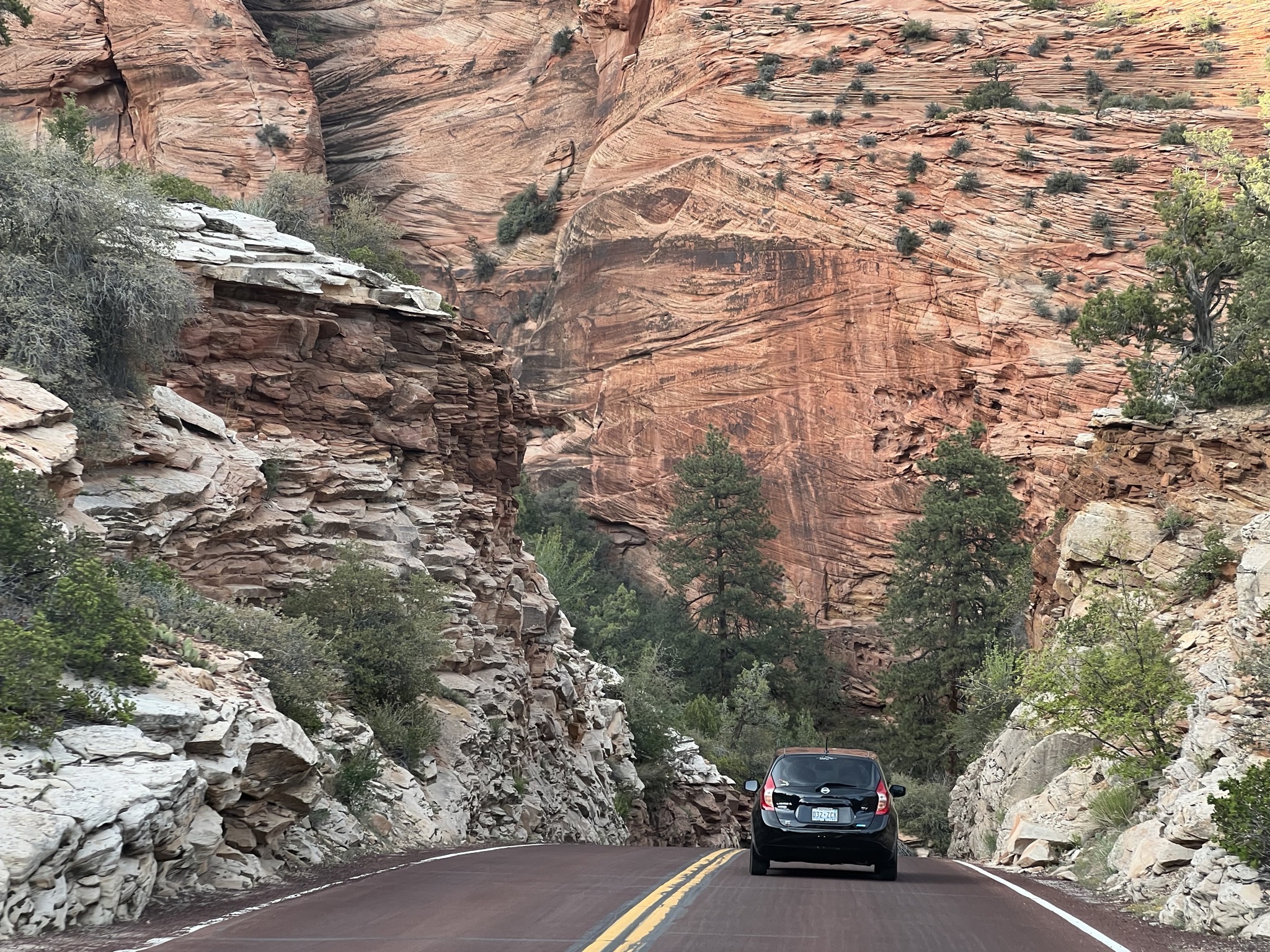 Zion National Park