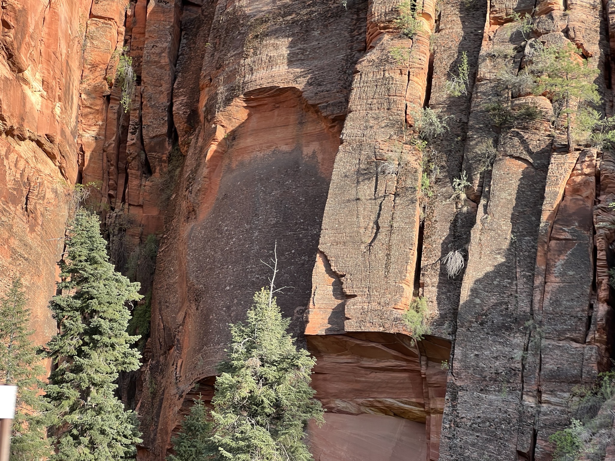 Zion National Park